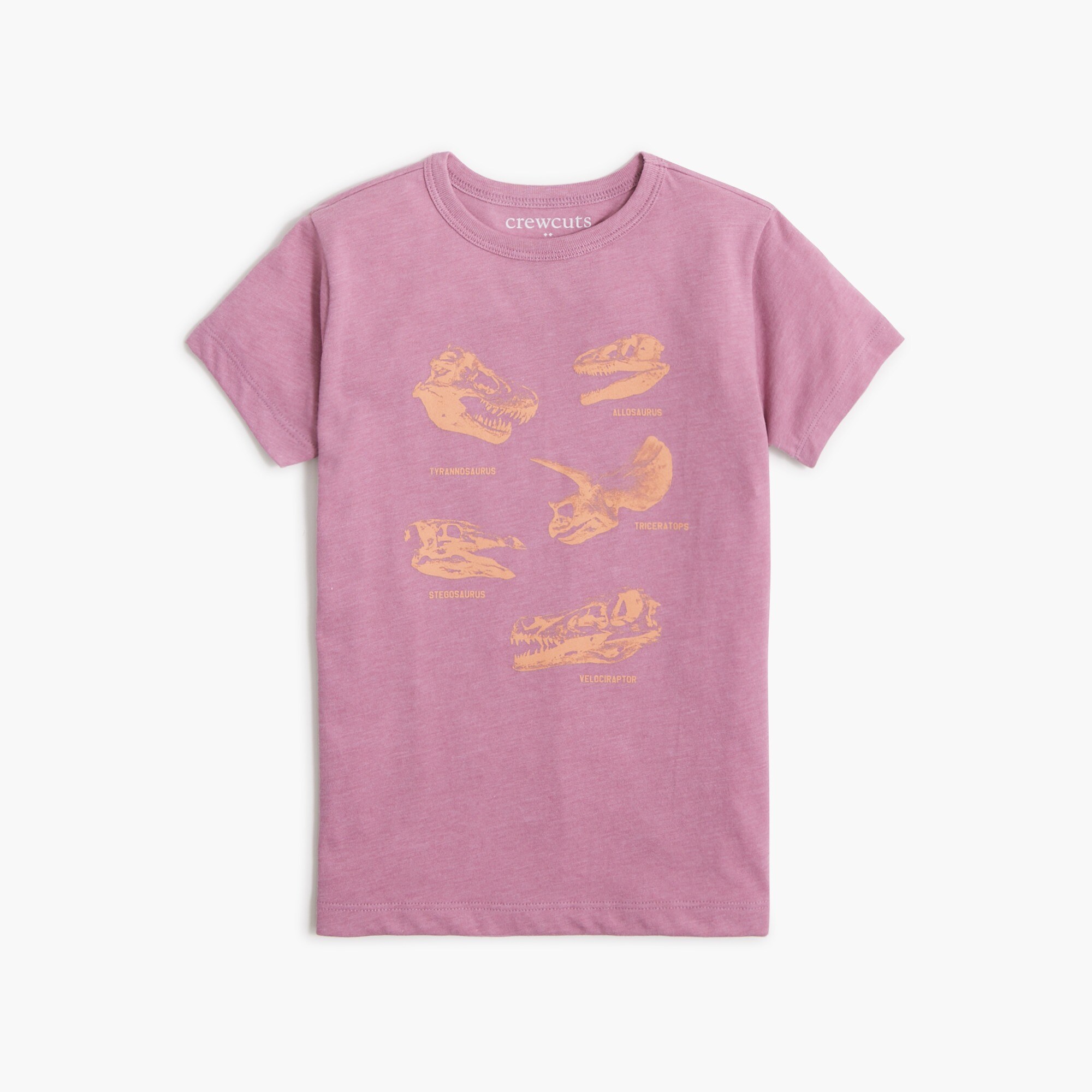 Boys' dinosaur fossil graphic tee