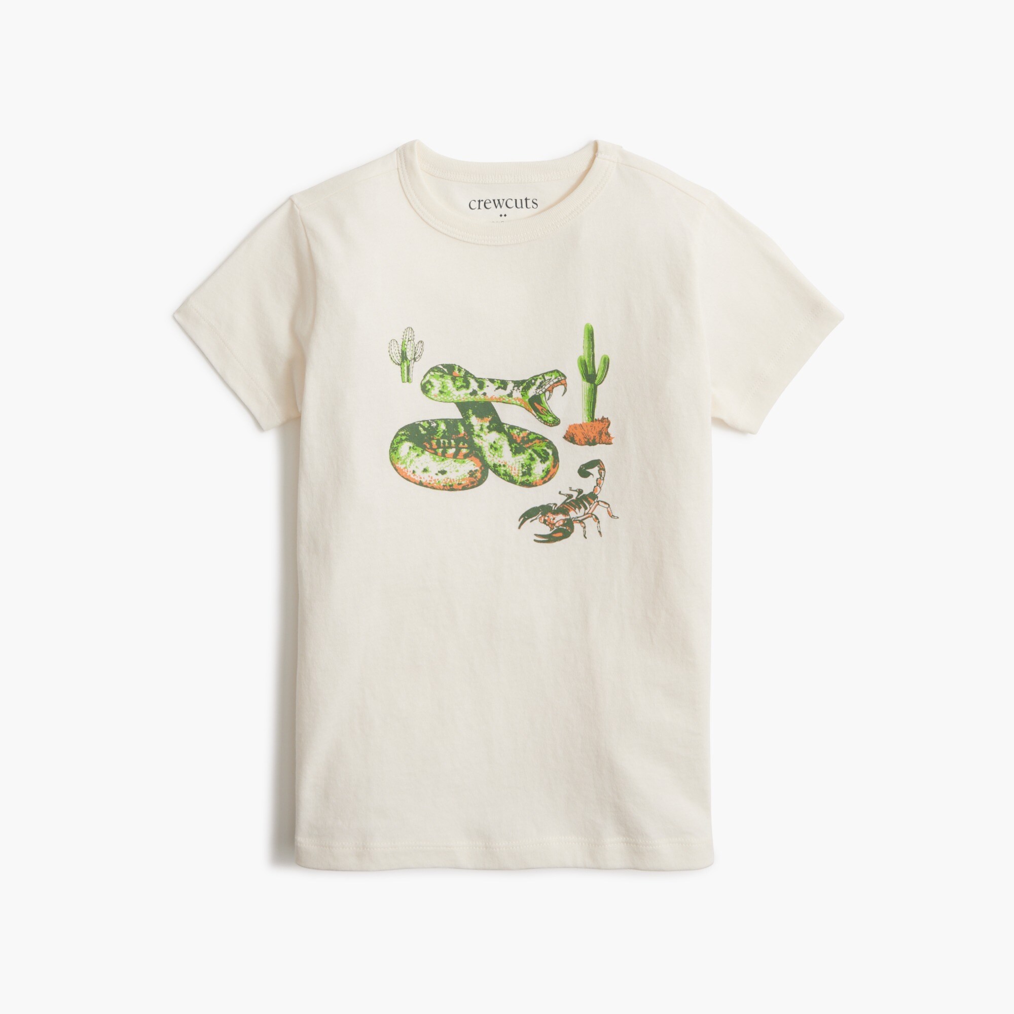 boys' desert snake graphic tee for boys