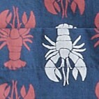 Boys' washed critter-print shirt DUSTY TWILIGHT DUSTY RE