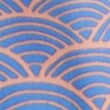 Boys' compression-lined swim trunk RETRO BLUE COOL PEACH