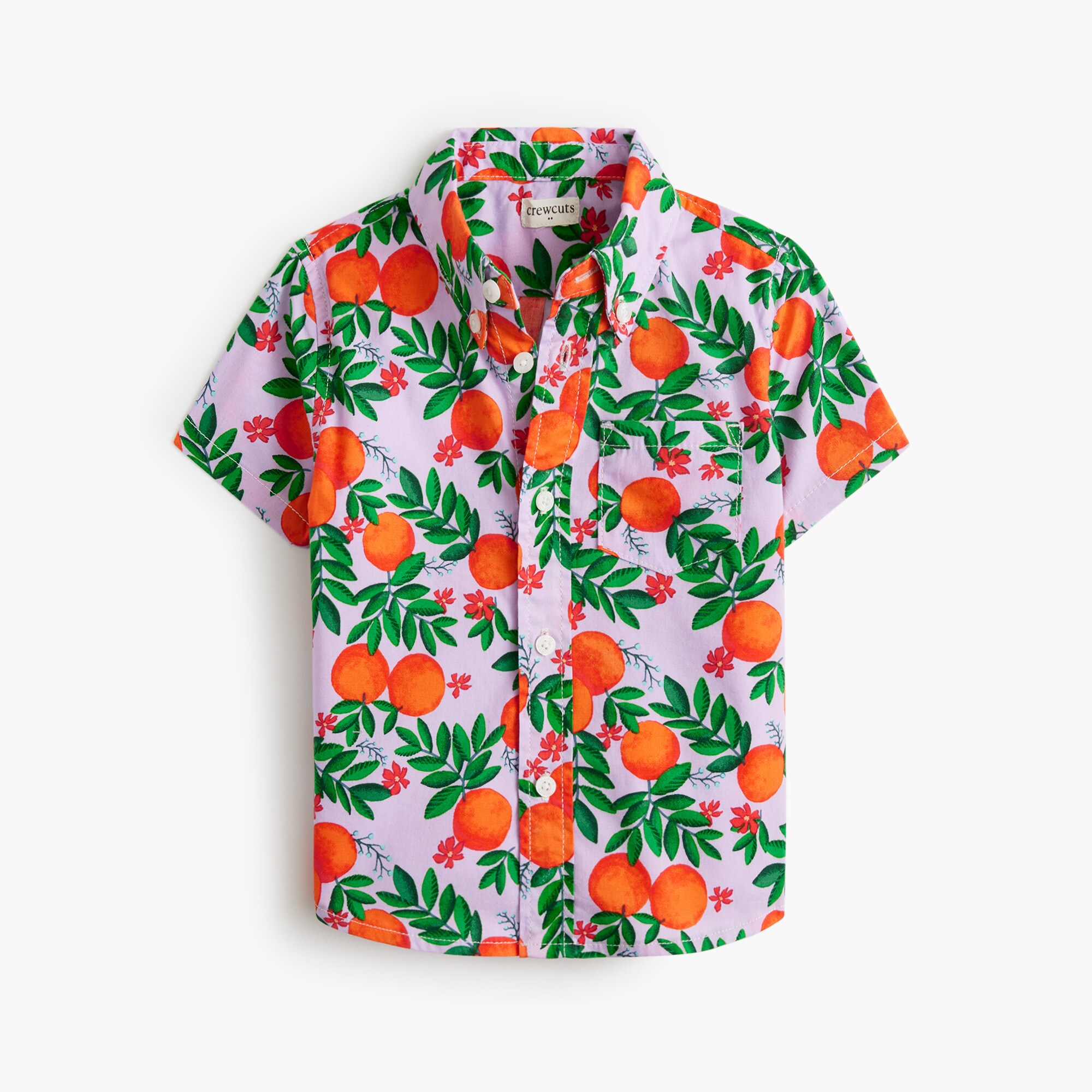 Baby & toddler boys' short-sleeve poplin shirt