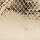 Chain-strap bag in leopard-print calf hair PLATINO WHIP SNAKE