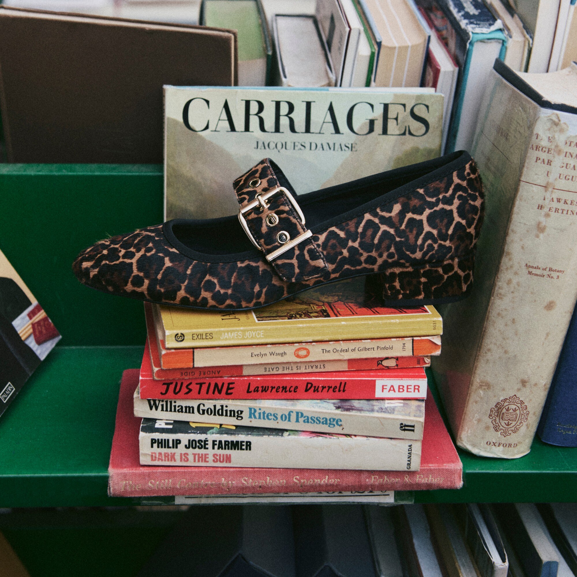 Teagan Mary Jane heels in leopard-print calf hair