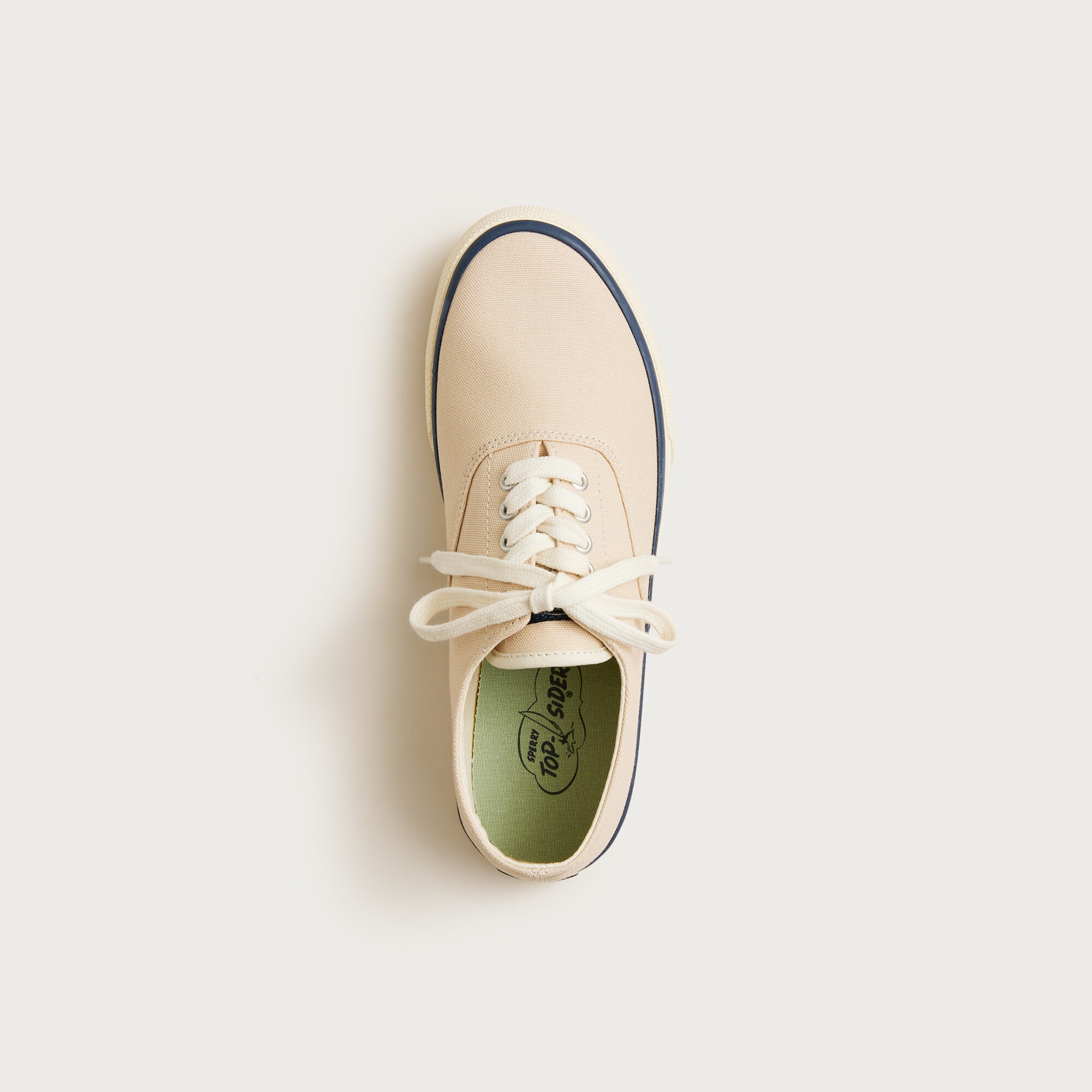Sperry® Cloud CVO deck sneakers in canvas