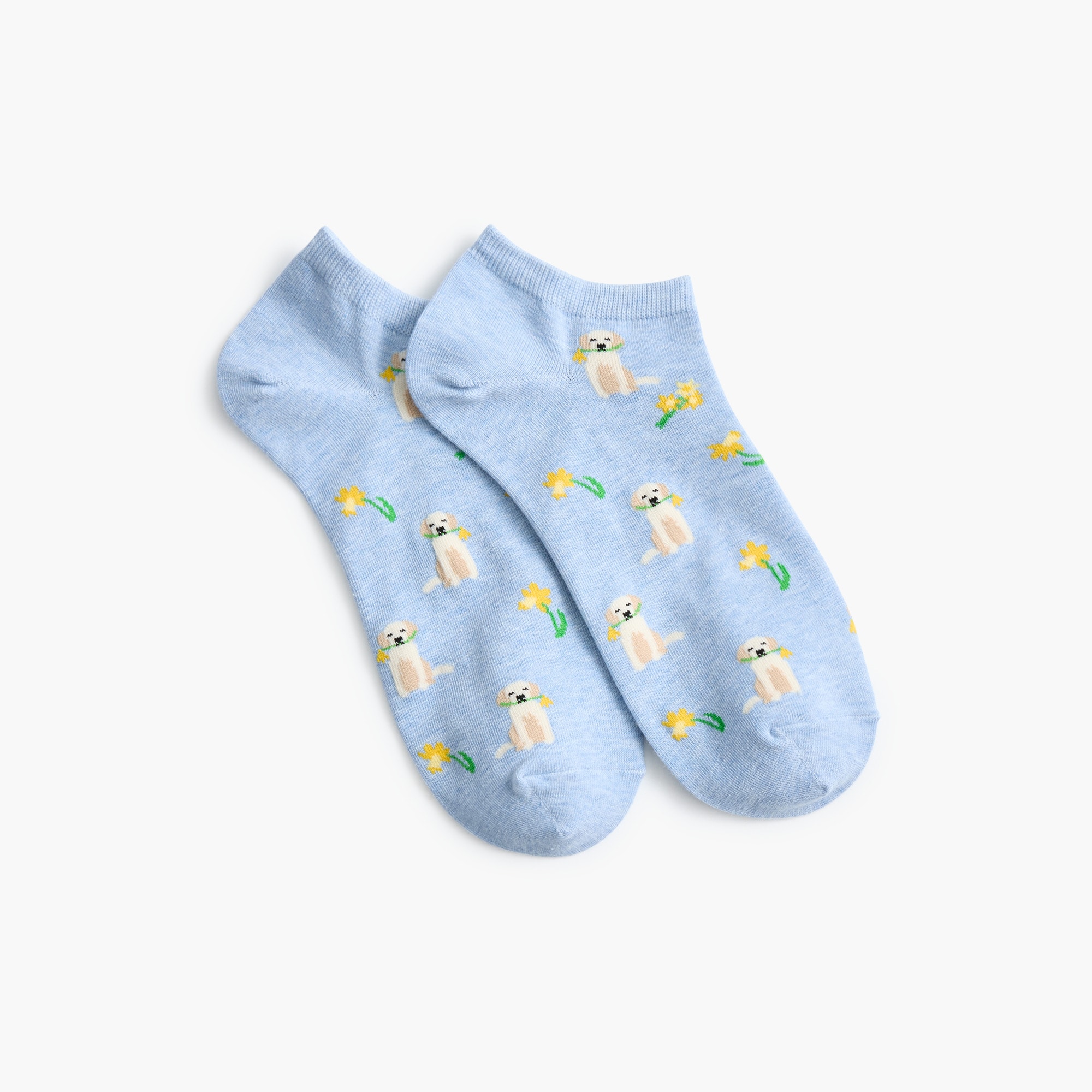 Dog with flower ankle socks