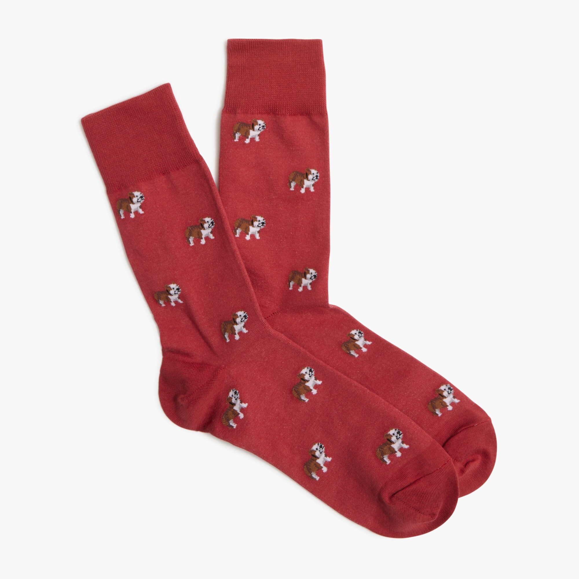 English bulldog socks