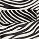 Collection calf hair jacket in zebra print IVORY BLACK j.crew: collection calf hair jacket in zebra print for women