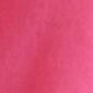 Eyelet-sleeve button-front top VIVID BEGONIA