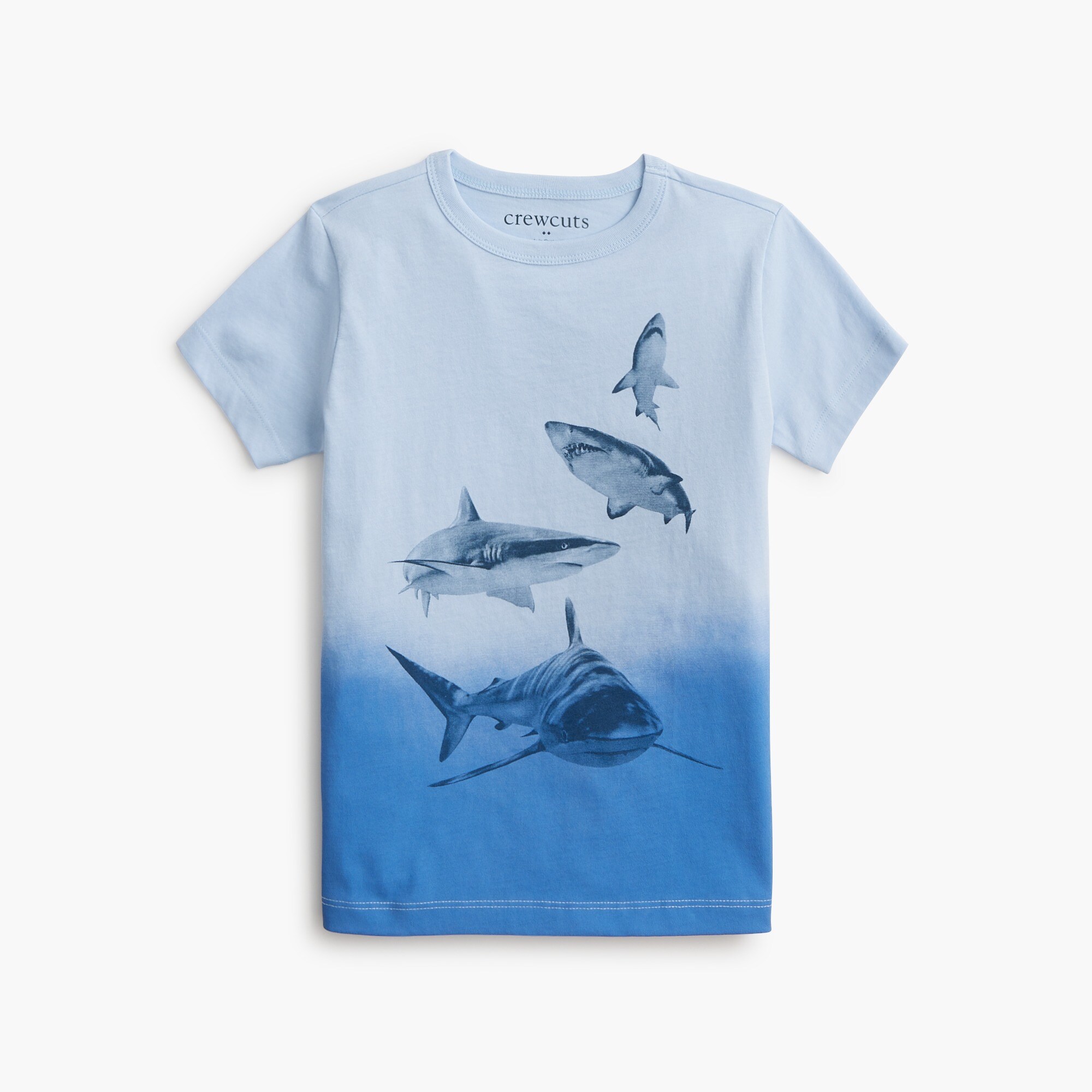 boys' shark graphic tee for boys