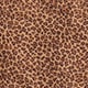Sheer long-sleeve top in leopard print BROWN