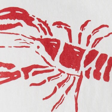Boys' lobster graphic tee WHITE factory: boys' lobster graphic tee for boys