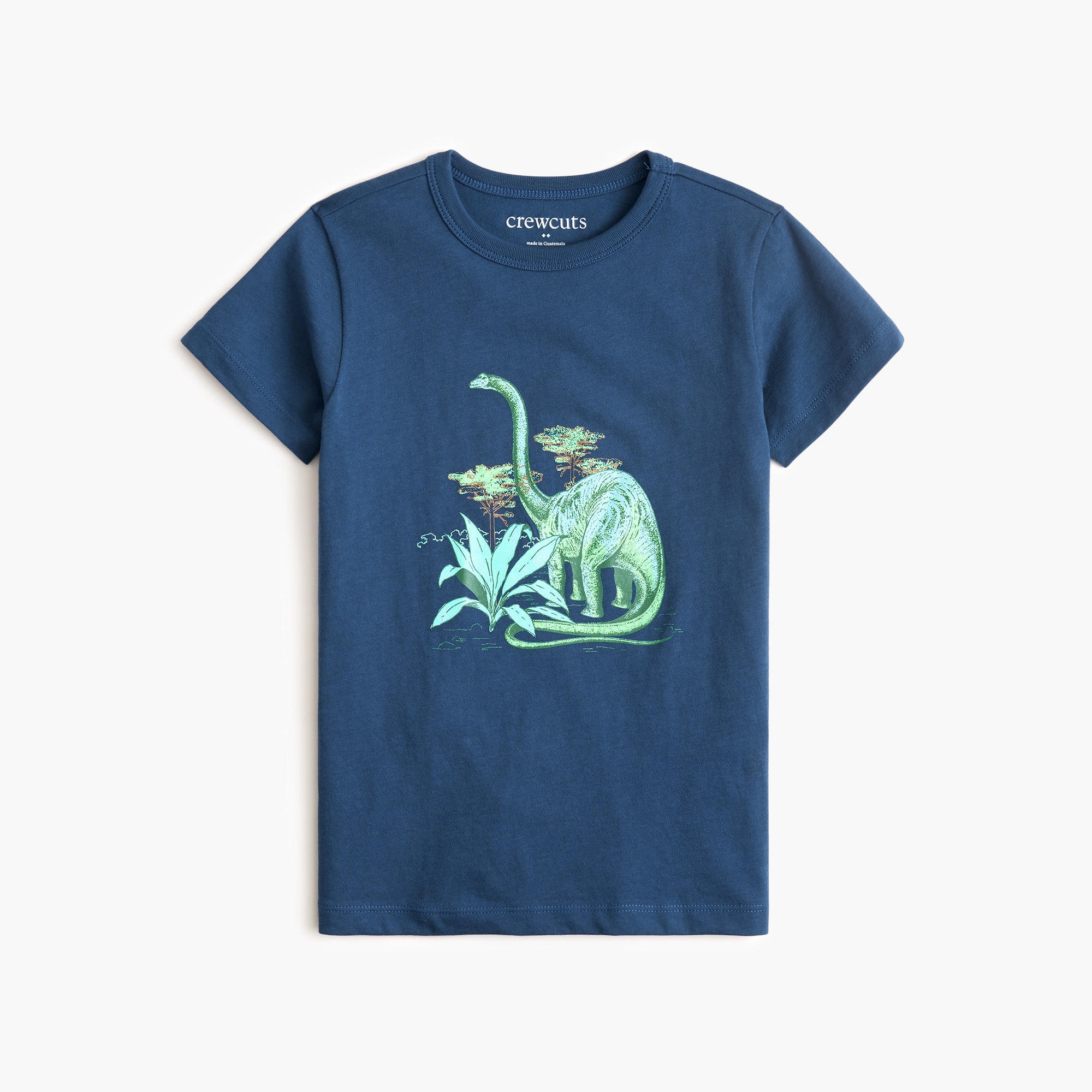 boys' dinosaur graphic tee for boys