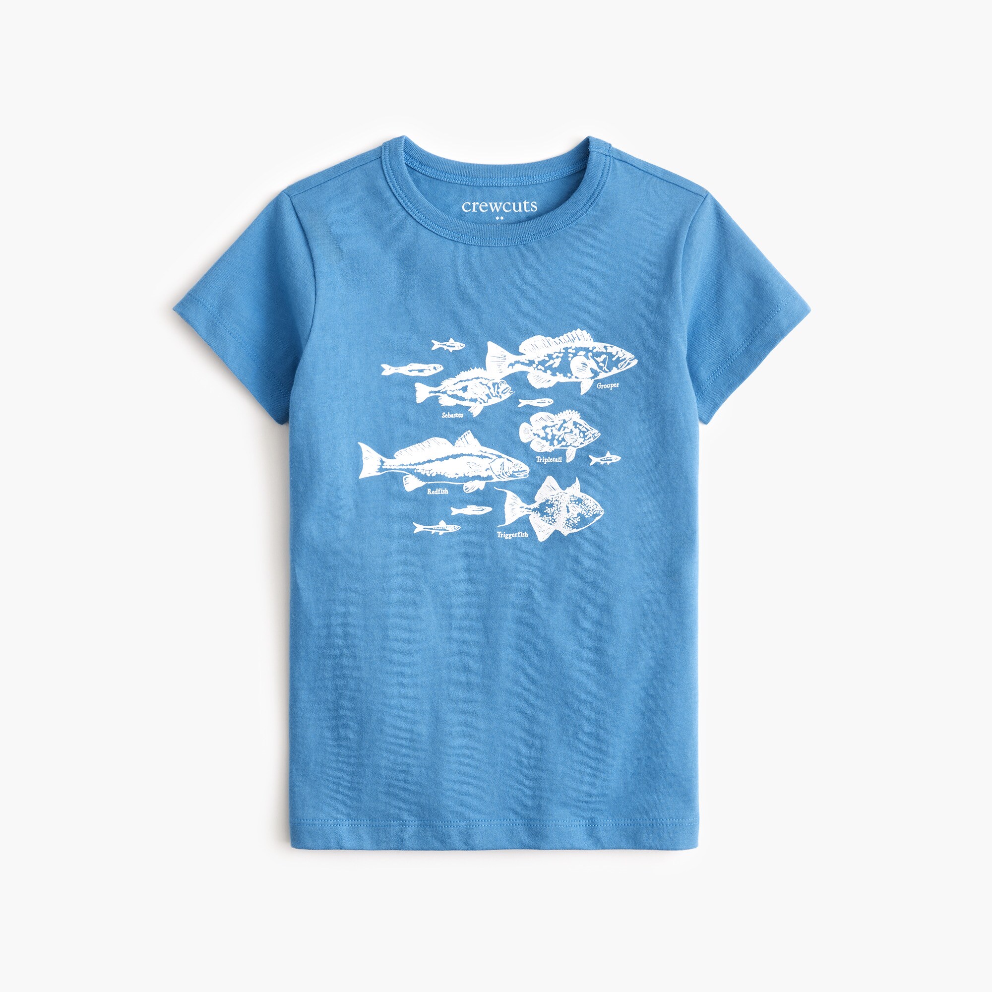 boys' school of fish graphic tee for boys