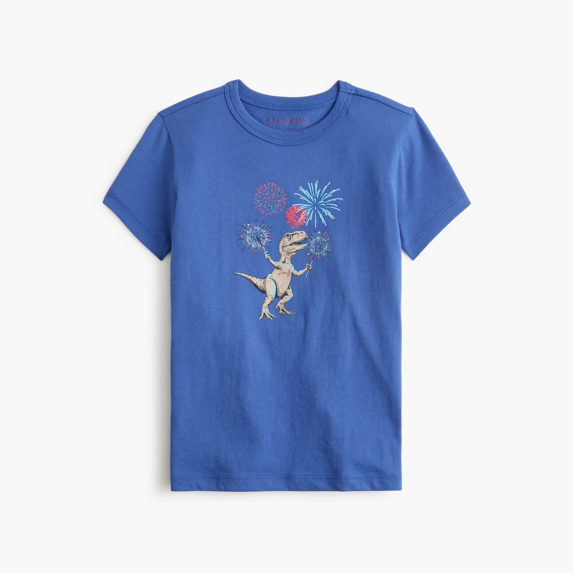 boys' dinosaur fireworks graphic tee for boys