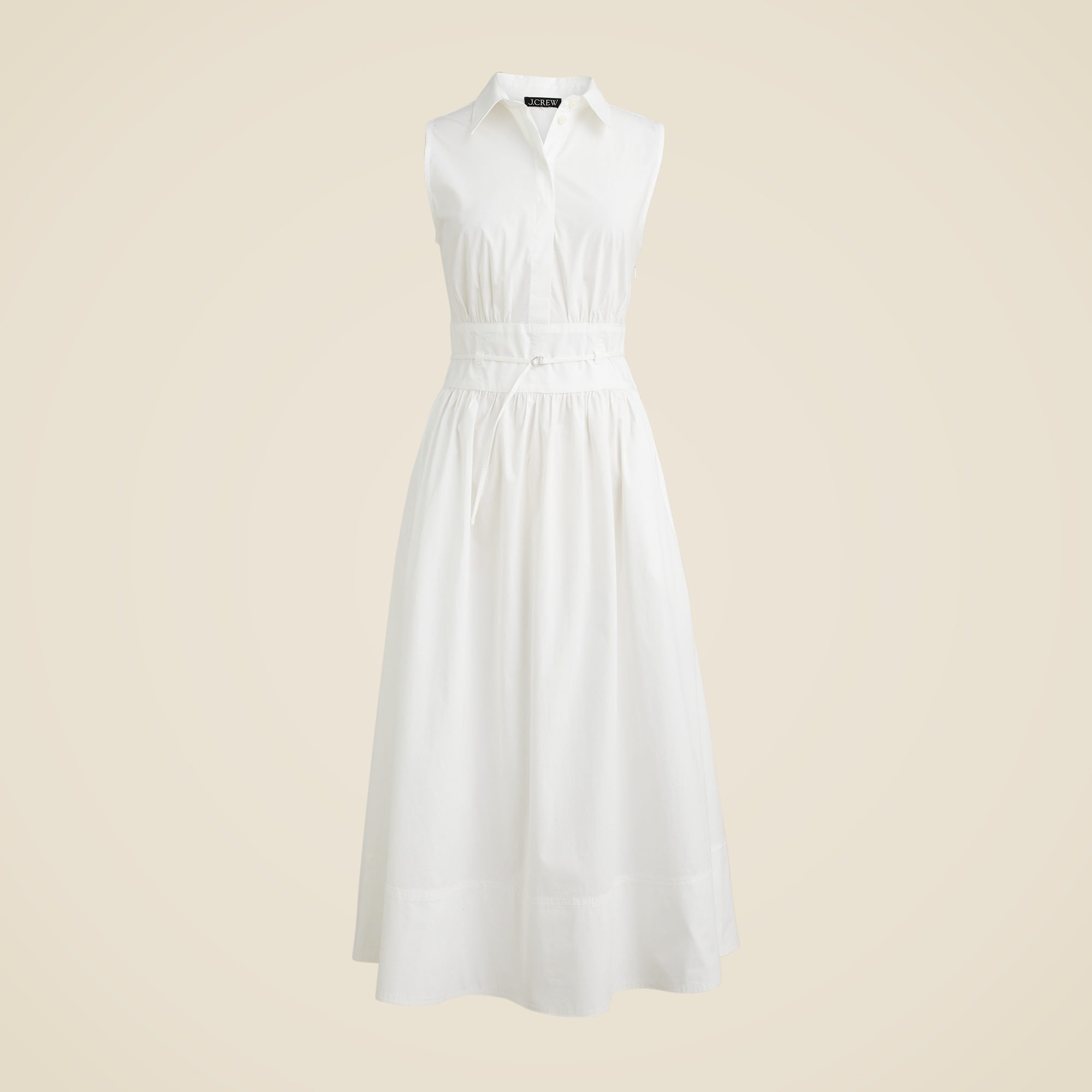Fitted-waist shirt-dress in cotton poplin