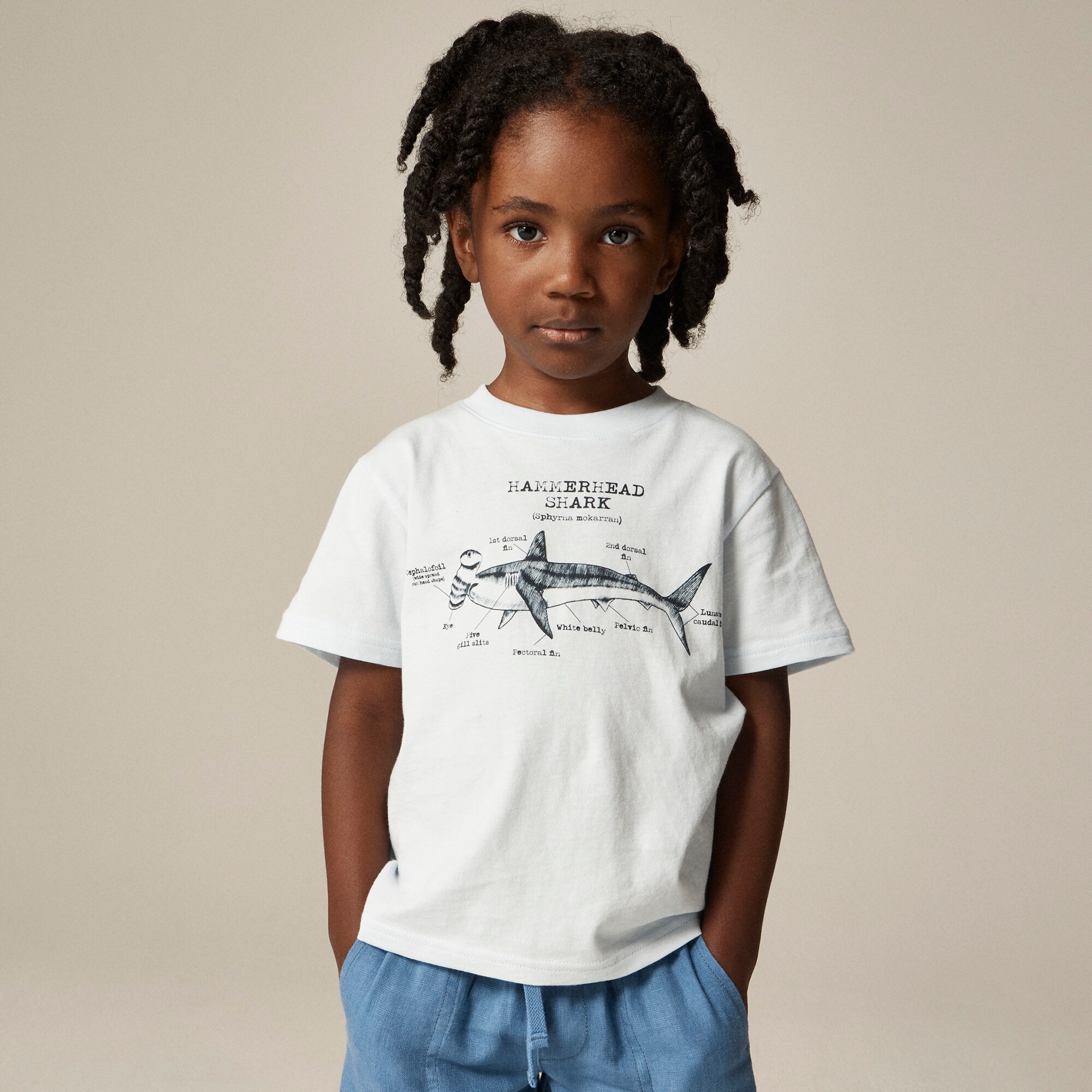  Kids' short-sleeve hammerhead shark graphic T-shirt