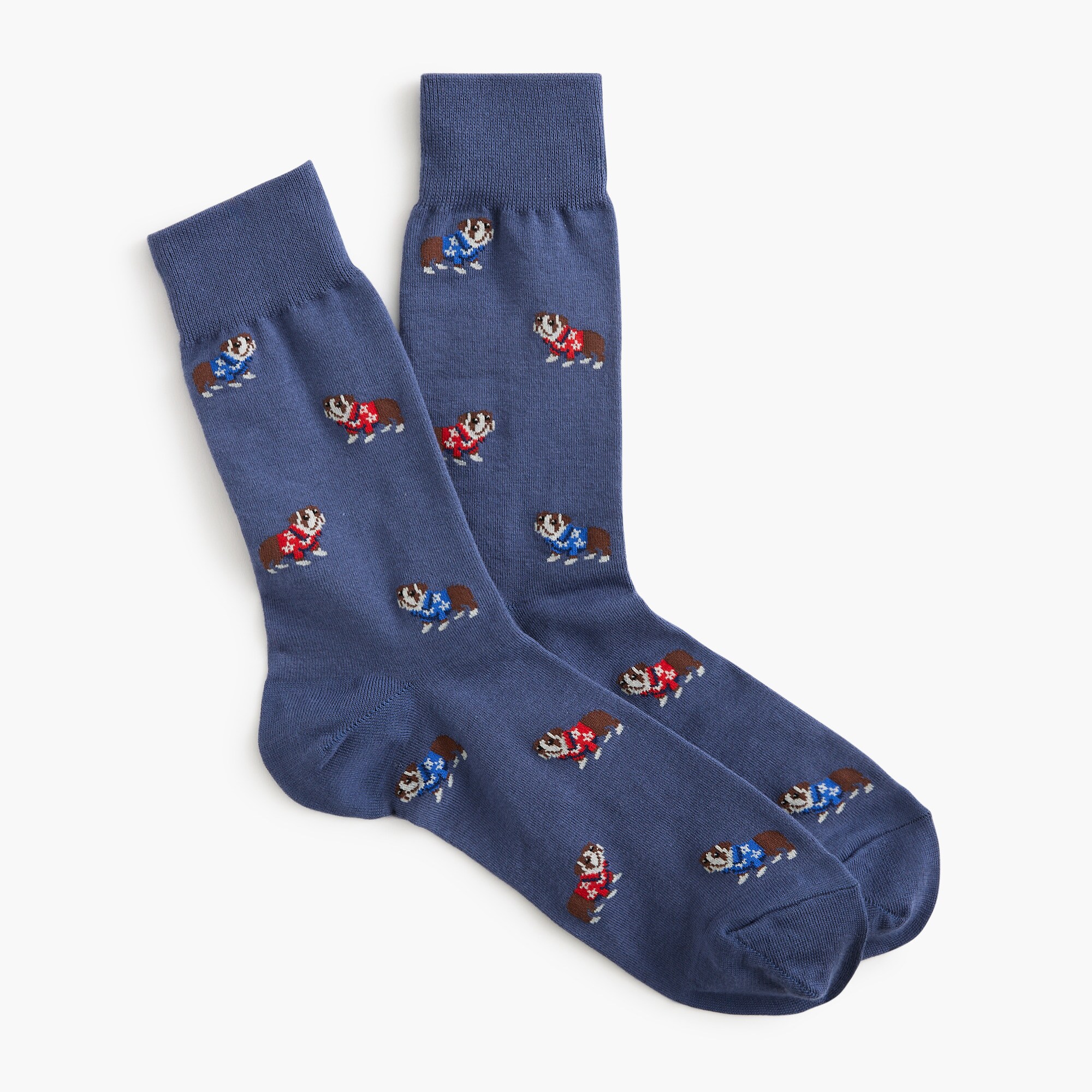 Dog in shirt socks