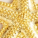 Oversized starfish stud earrings SHINY MATTE GOLD j.crew: oversized starfish stud earrings for women