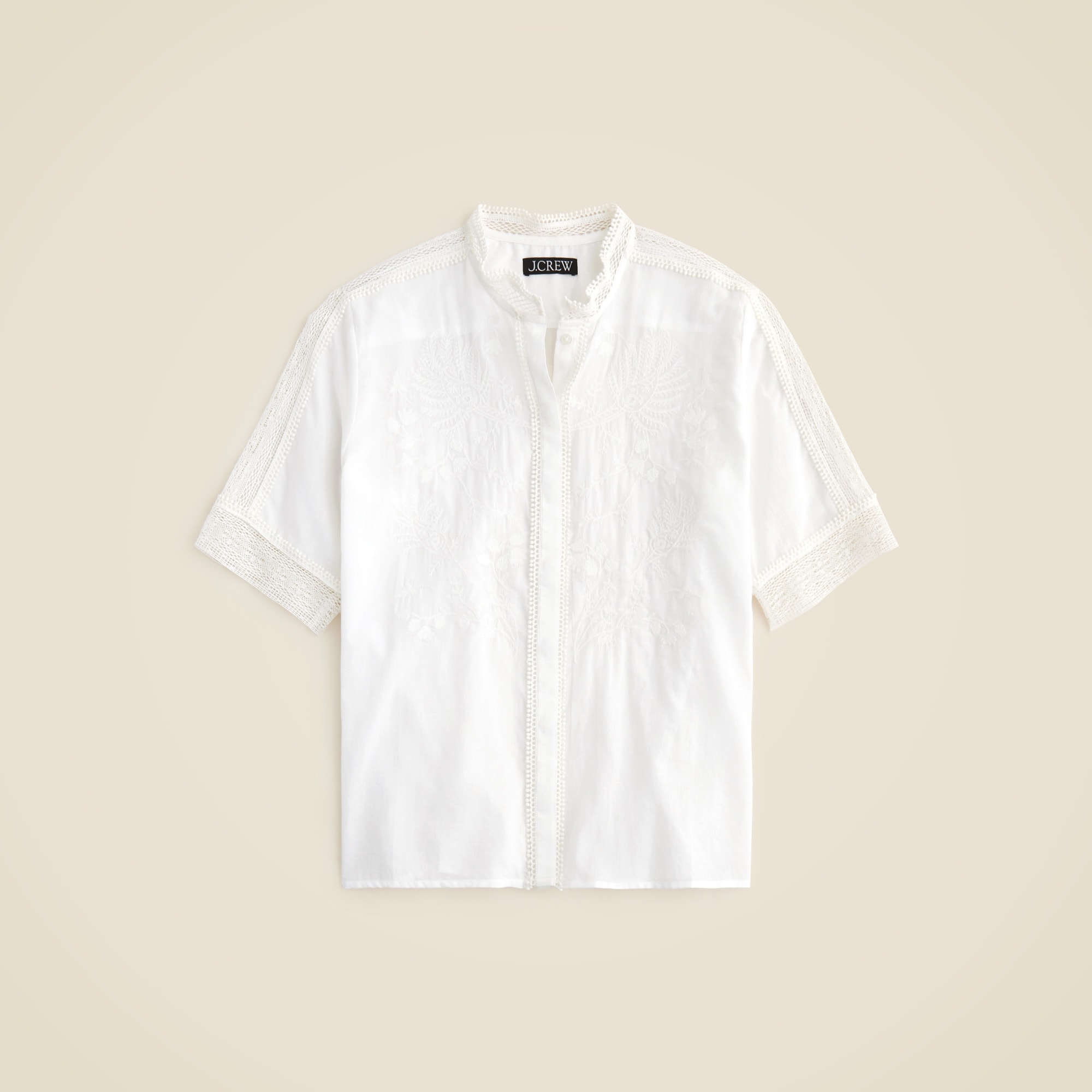 CK484_WT0002
