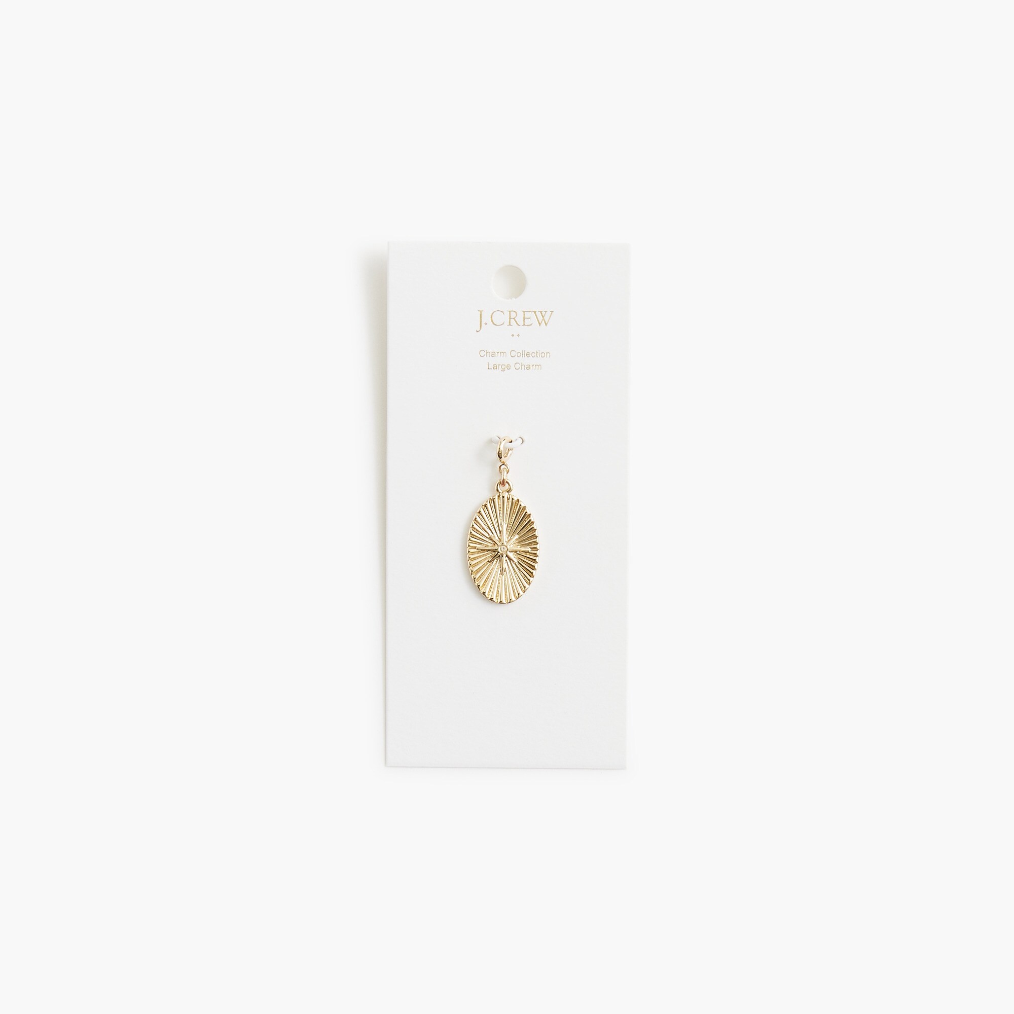 Large oval charm