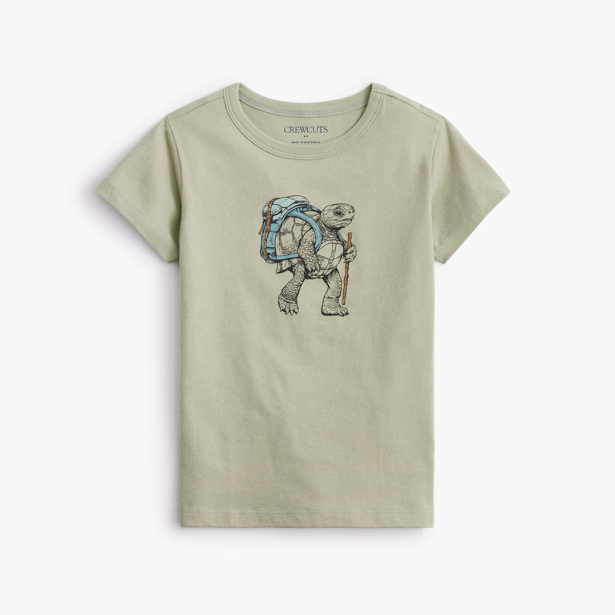 boys' hiking turtle graphic tee for boys