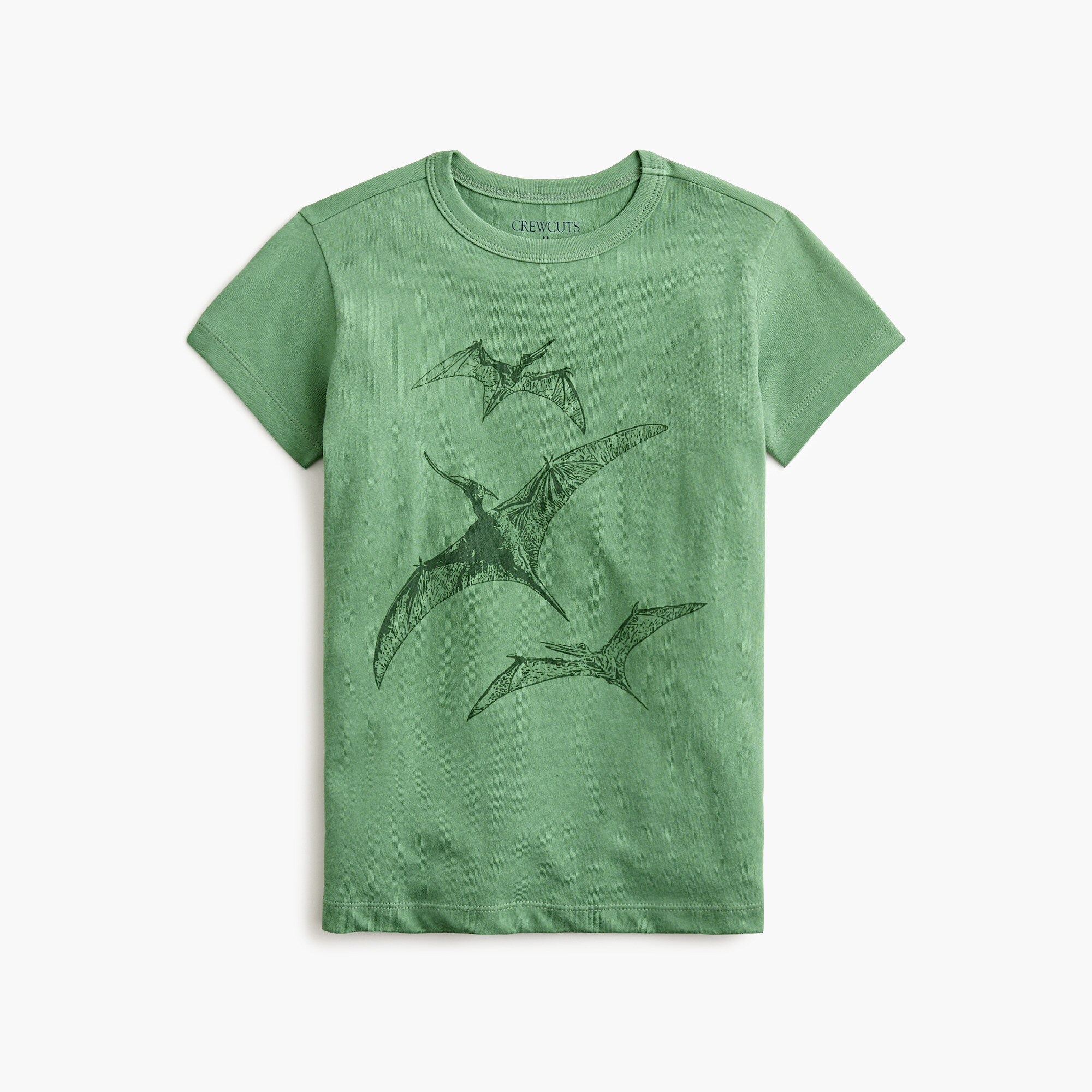 boys' flying dinosaurs graphic tee for boys