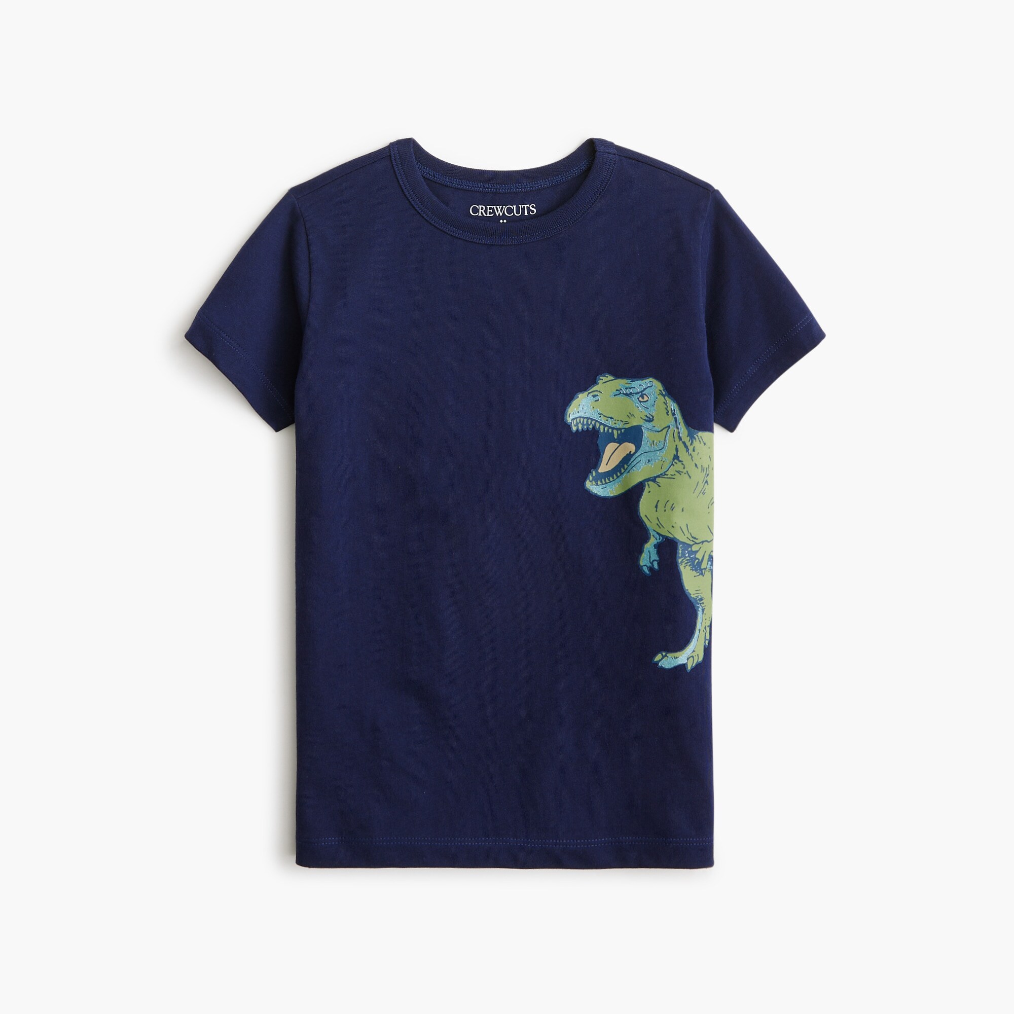 boys' t. rex graphic tee for boys