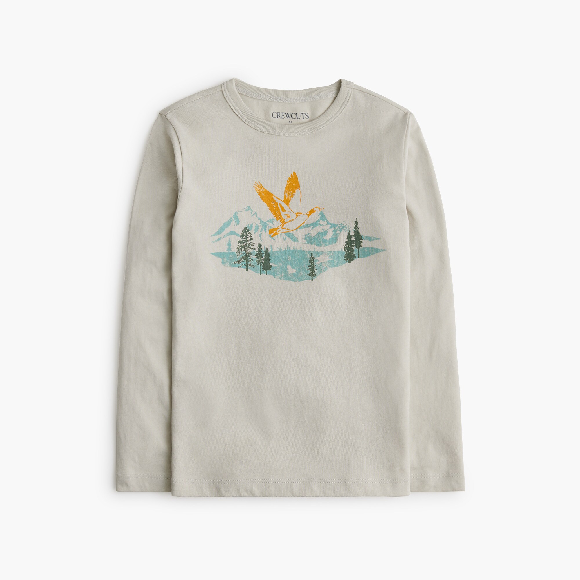  Boys' flying duck graphic tee