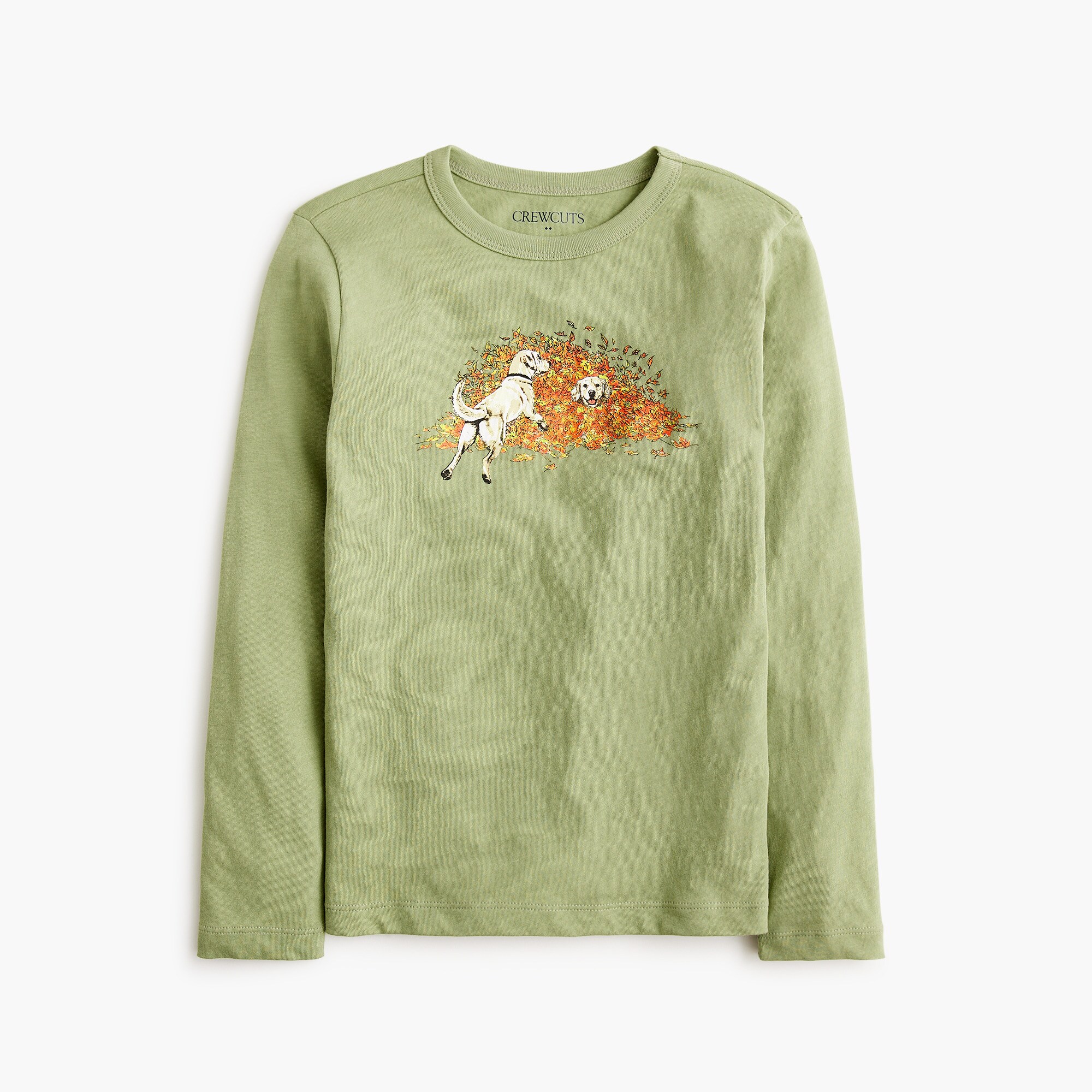  Boys' dogs in a pile of leaves graphic tee