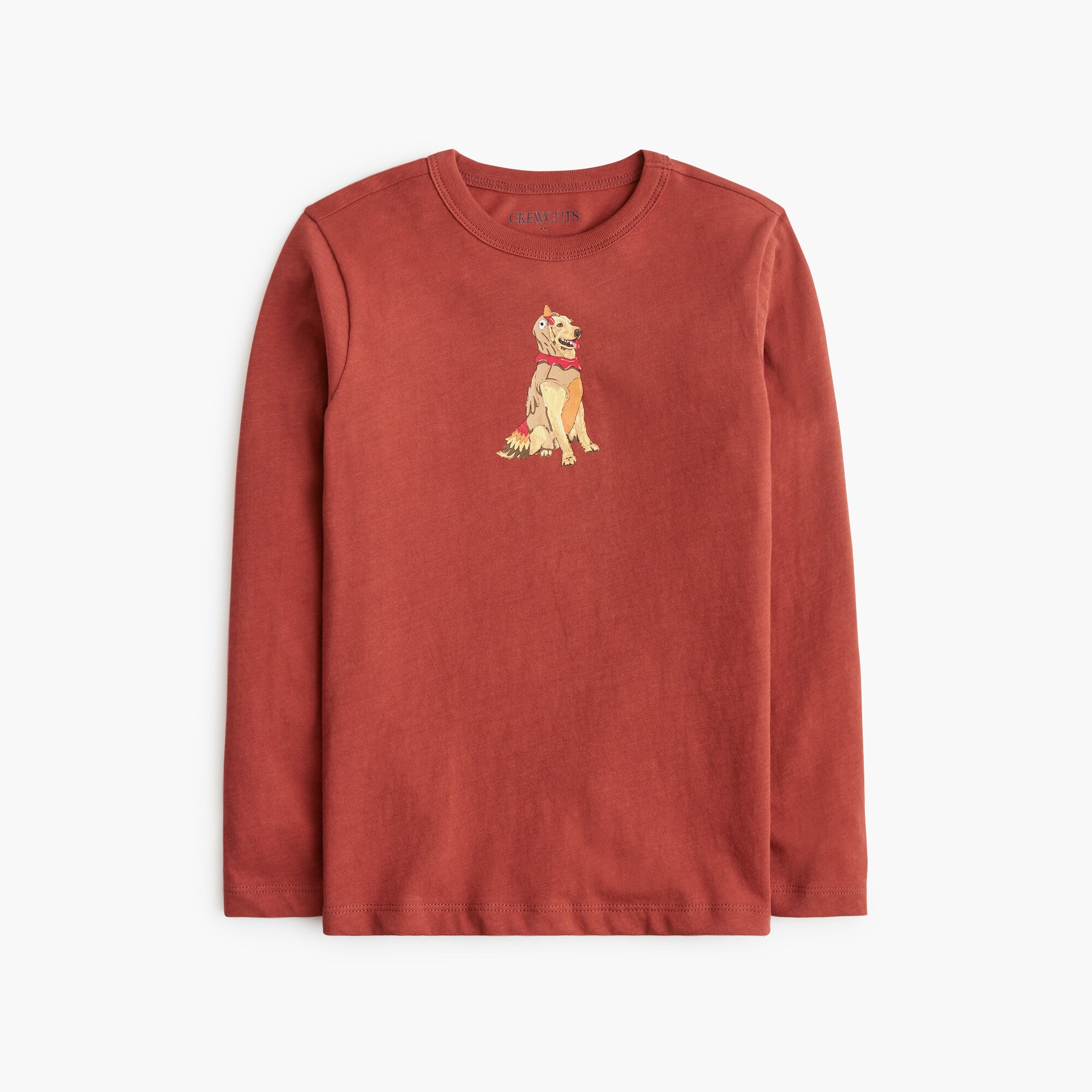 Boys' dog in turkey costume graphic tee