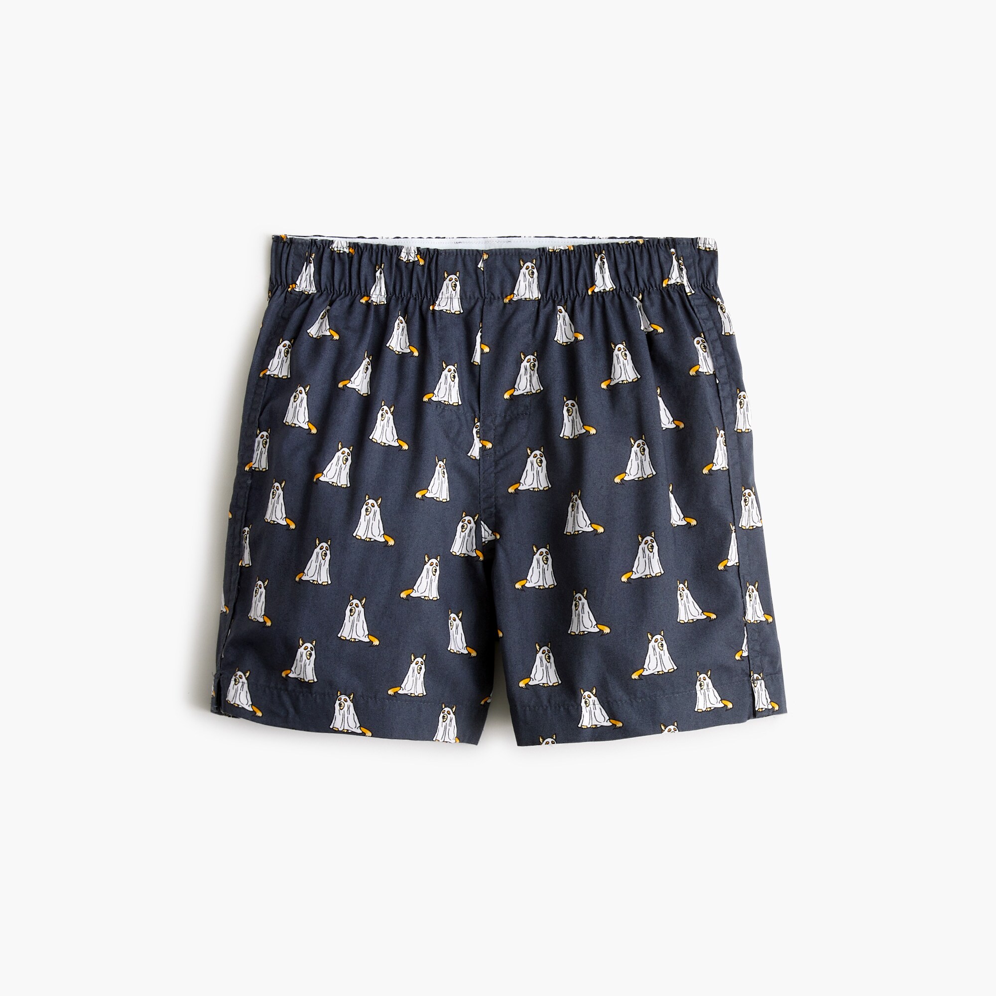 Boy's dog in ghost costume boxers