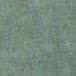 Garment-dyed henley tee TOPIARY