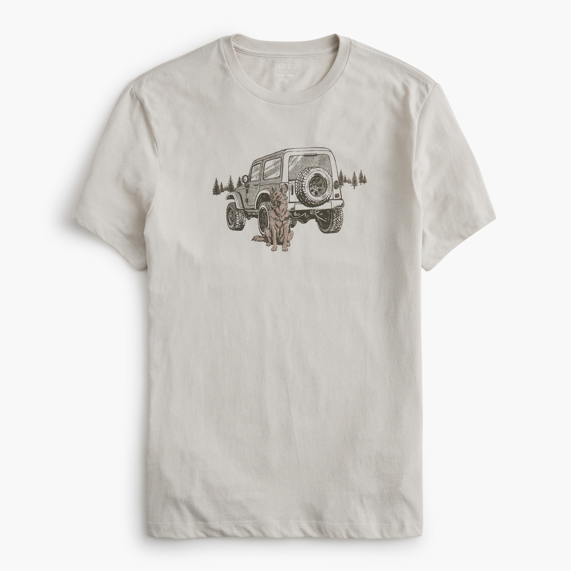 Dog with car graphic tee