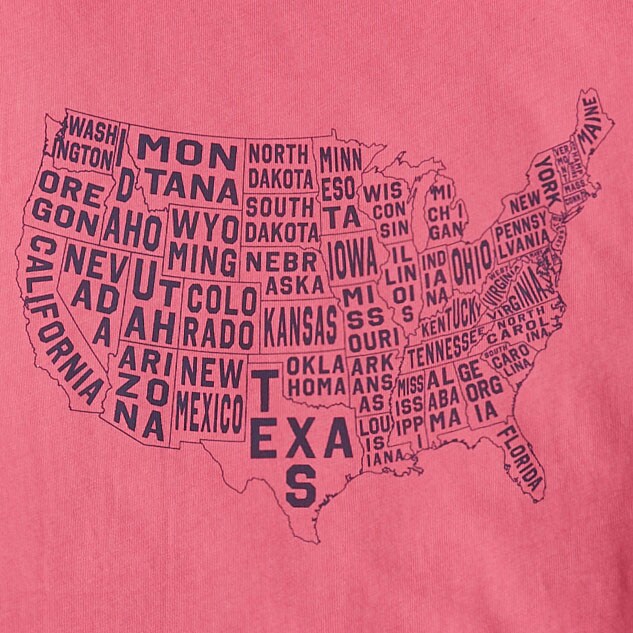 USA map graphic tee DUSTY RED