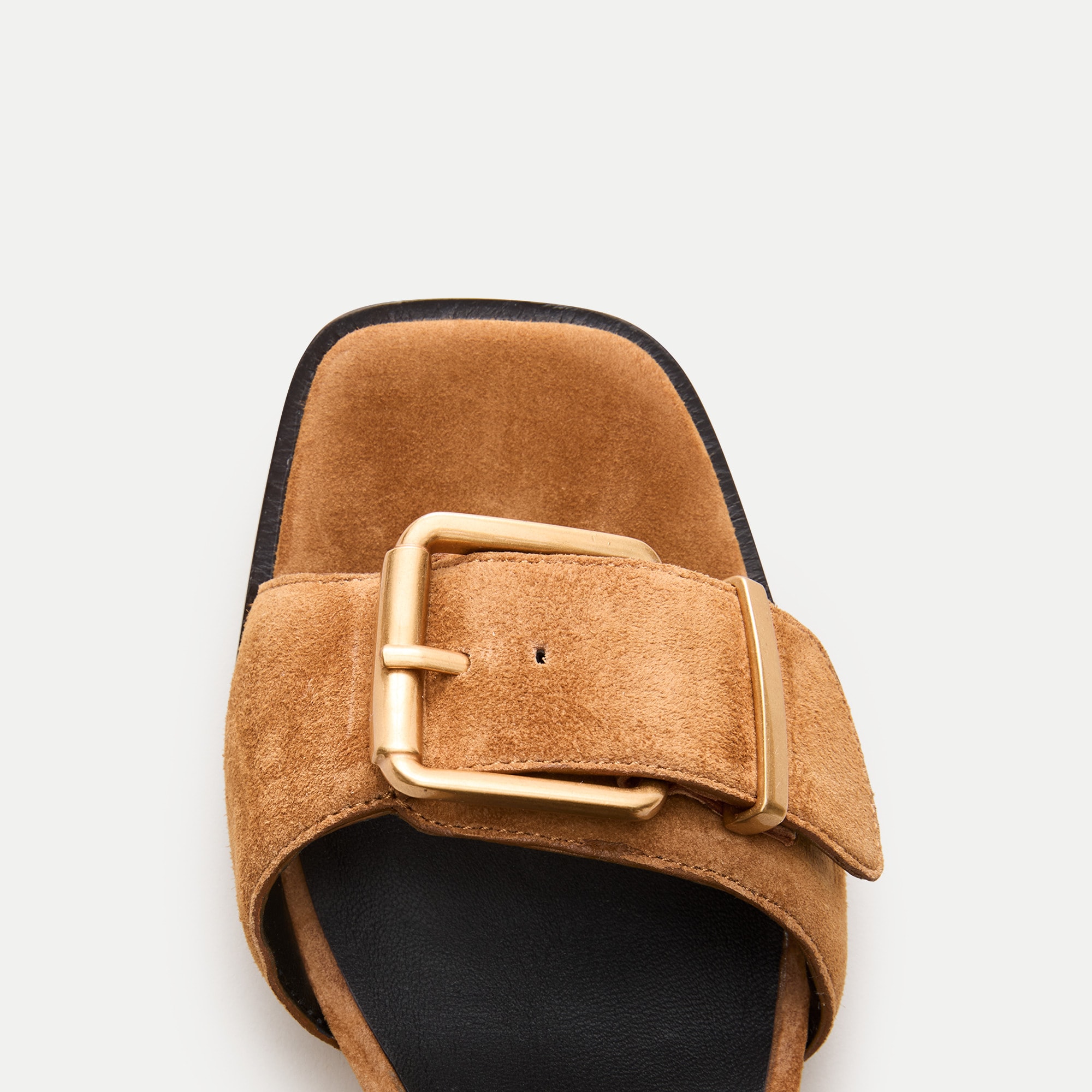 Dylan buckle block-heel sandals in suede