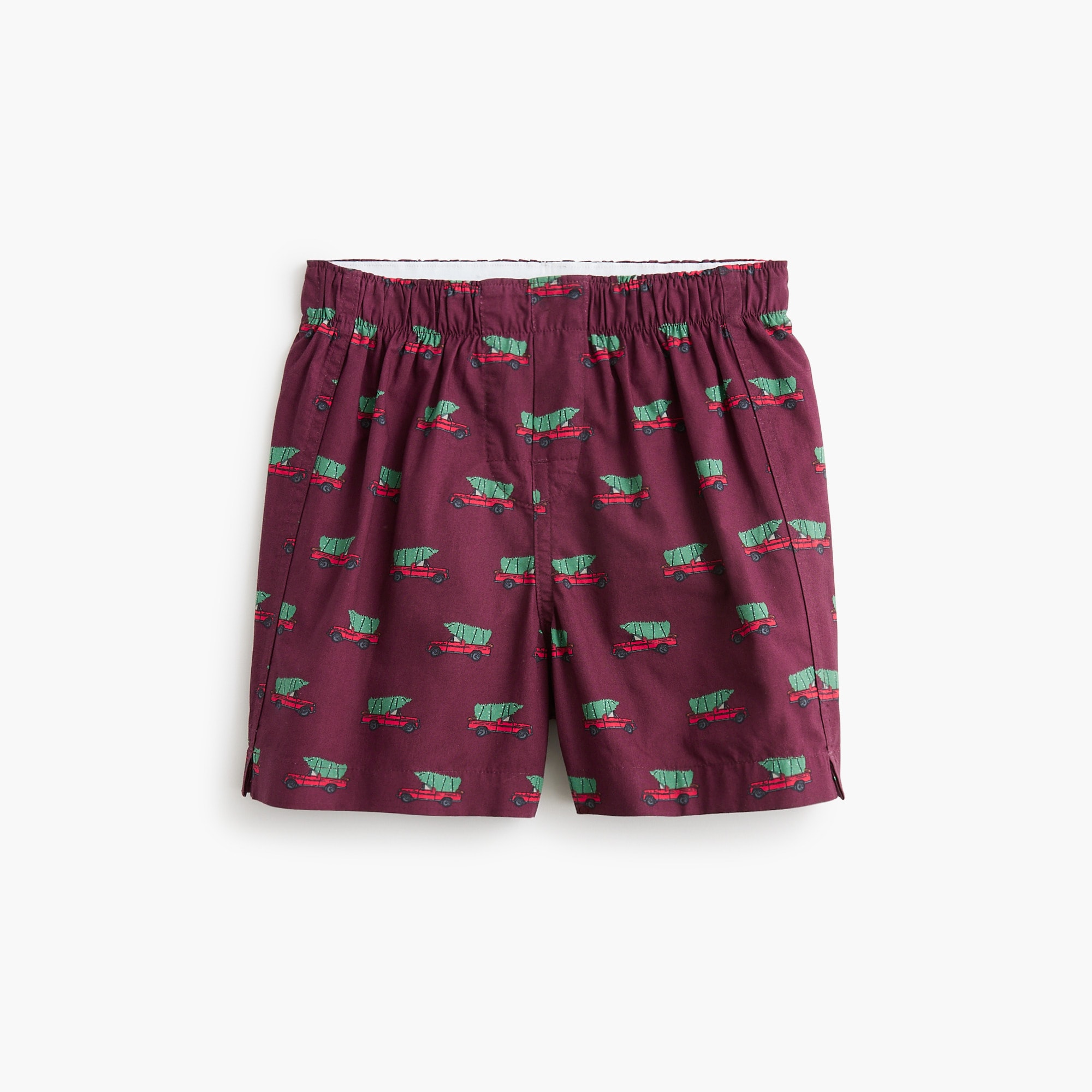 Boys' holiday dog boxers