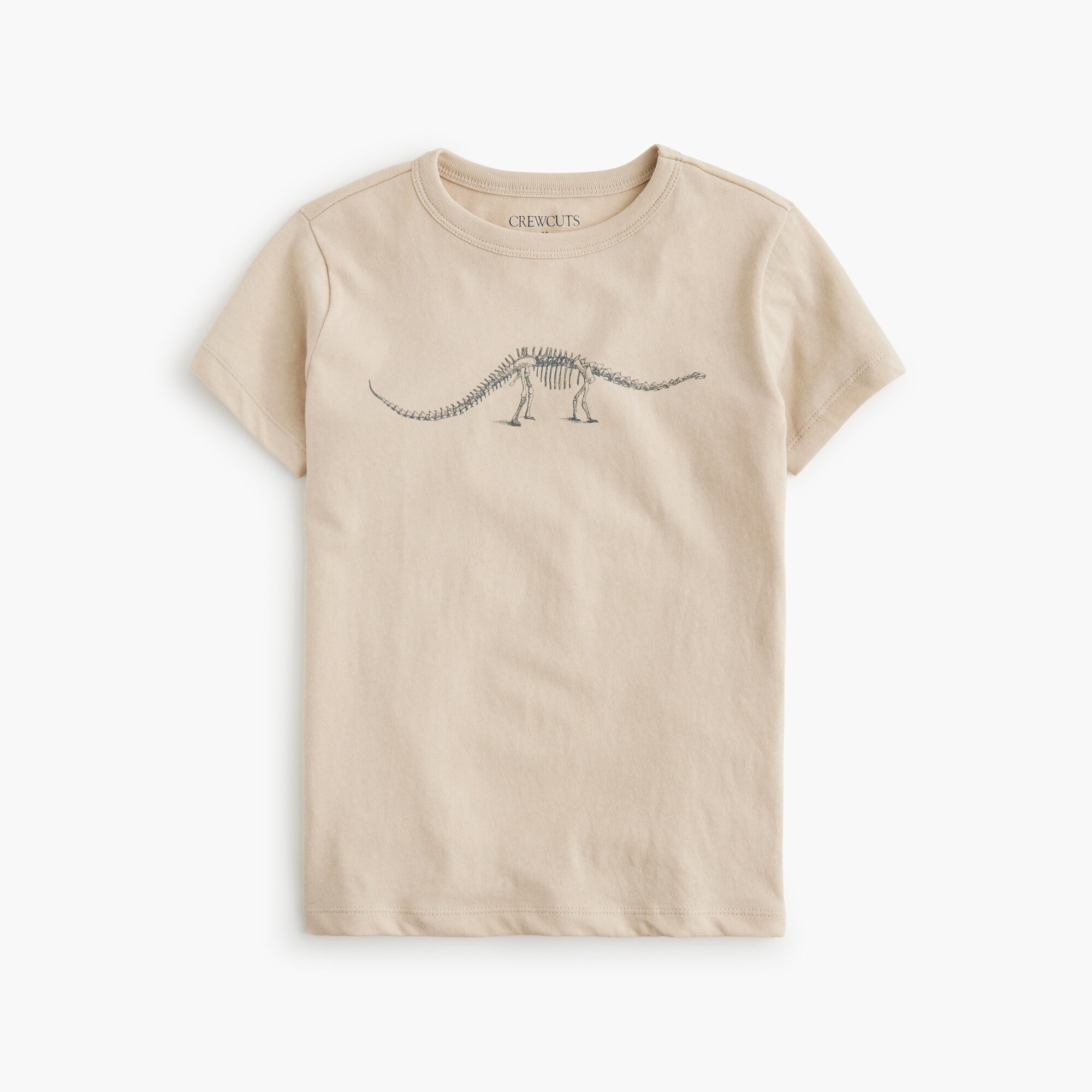  Boys' dinosaur graphic tee