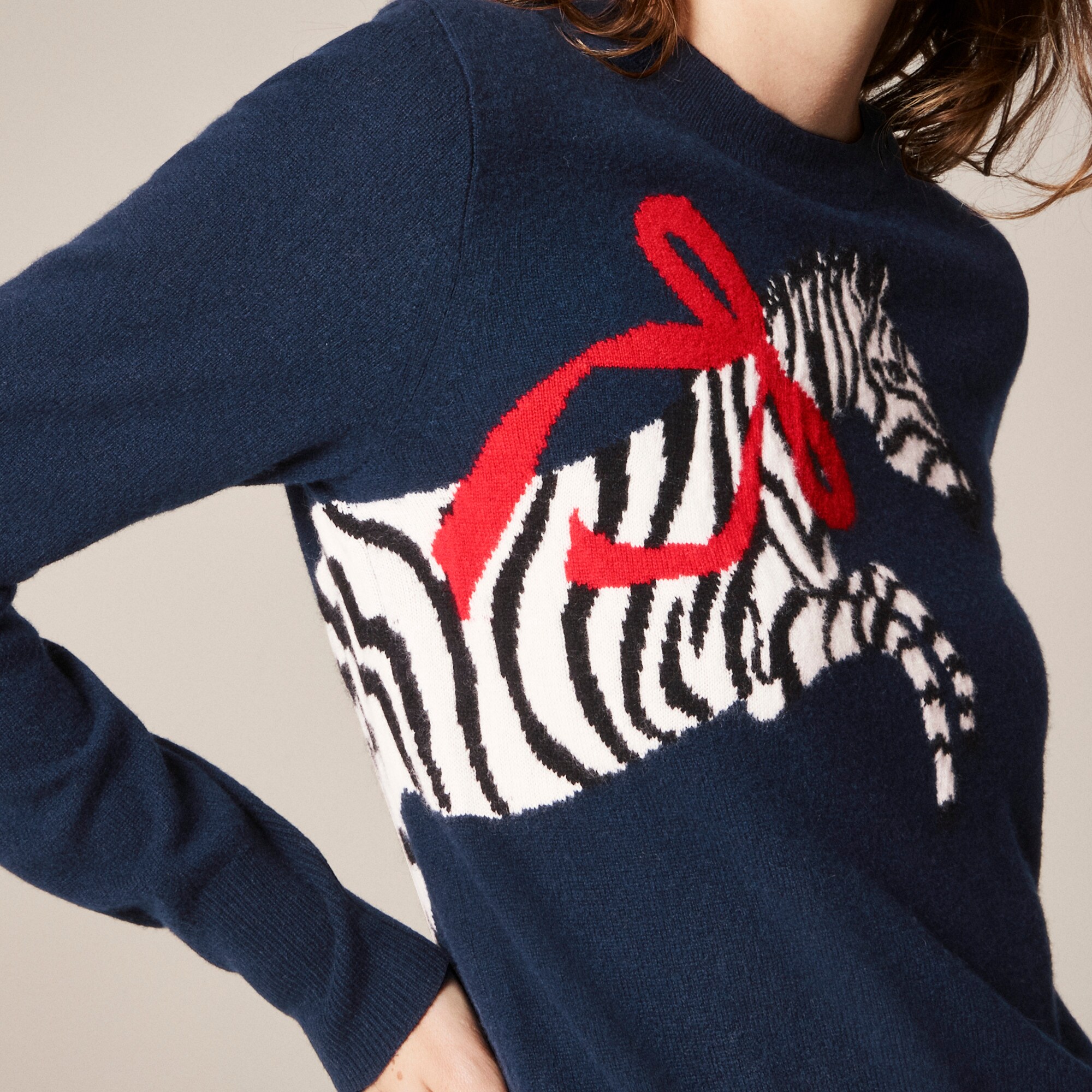 Cashmere classic-fit crewneck sweater in zebra intarsia