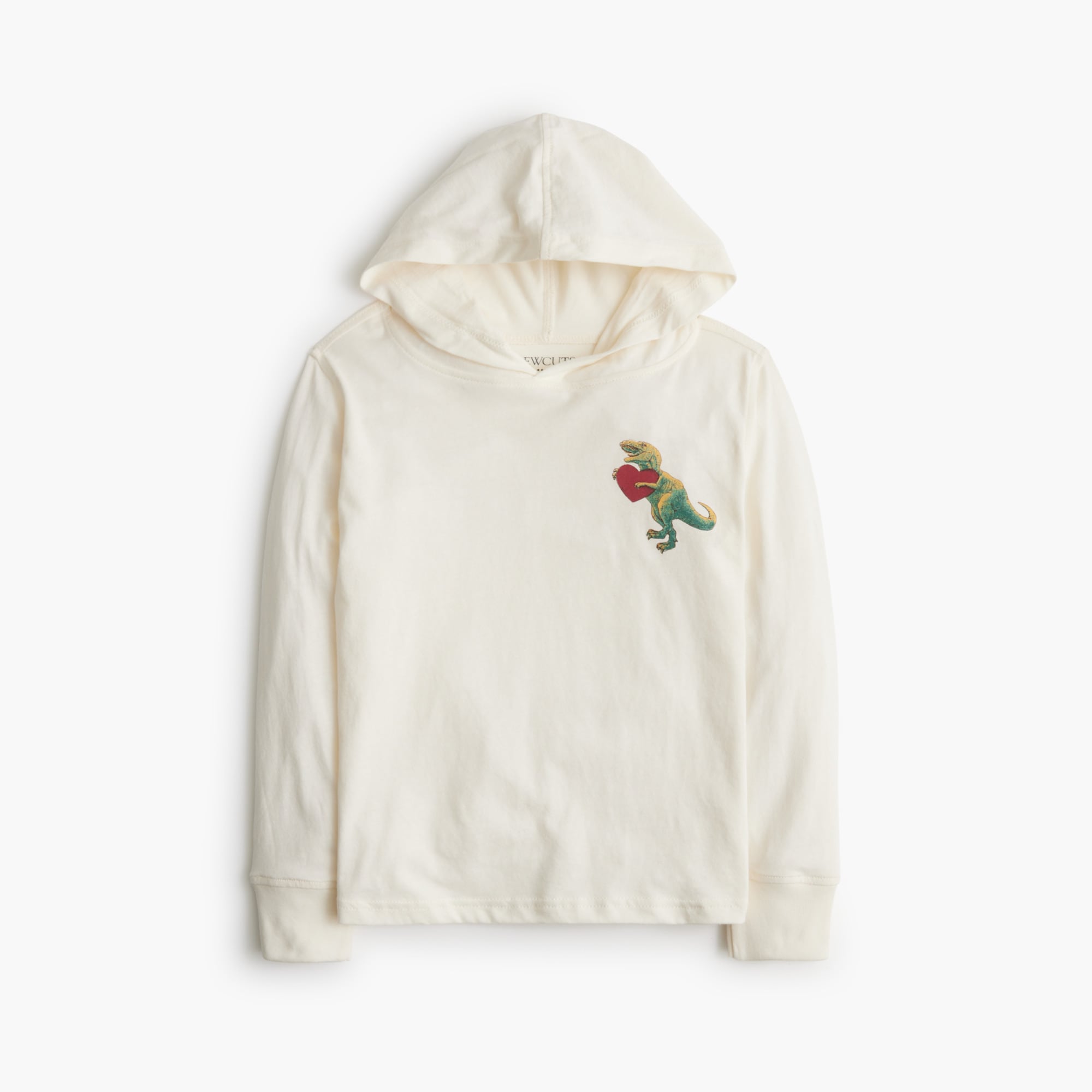  Boys' dinosaur graphic jersey hoodie