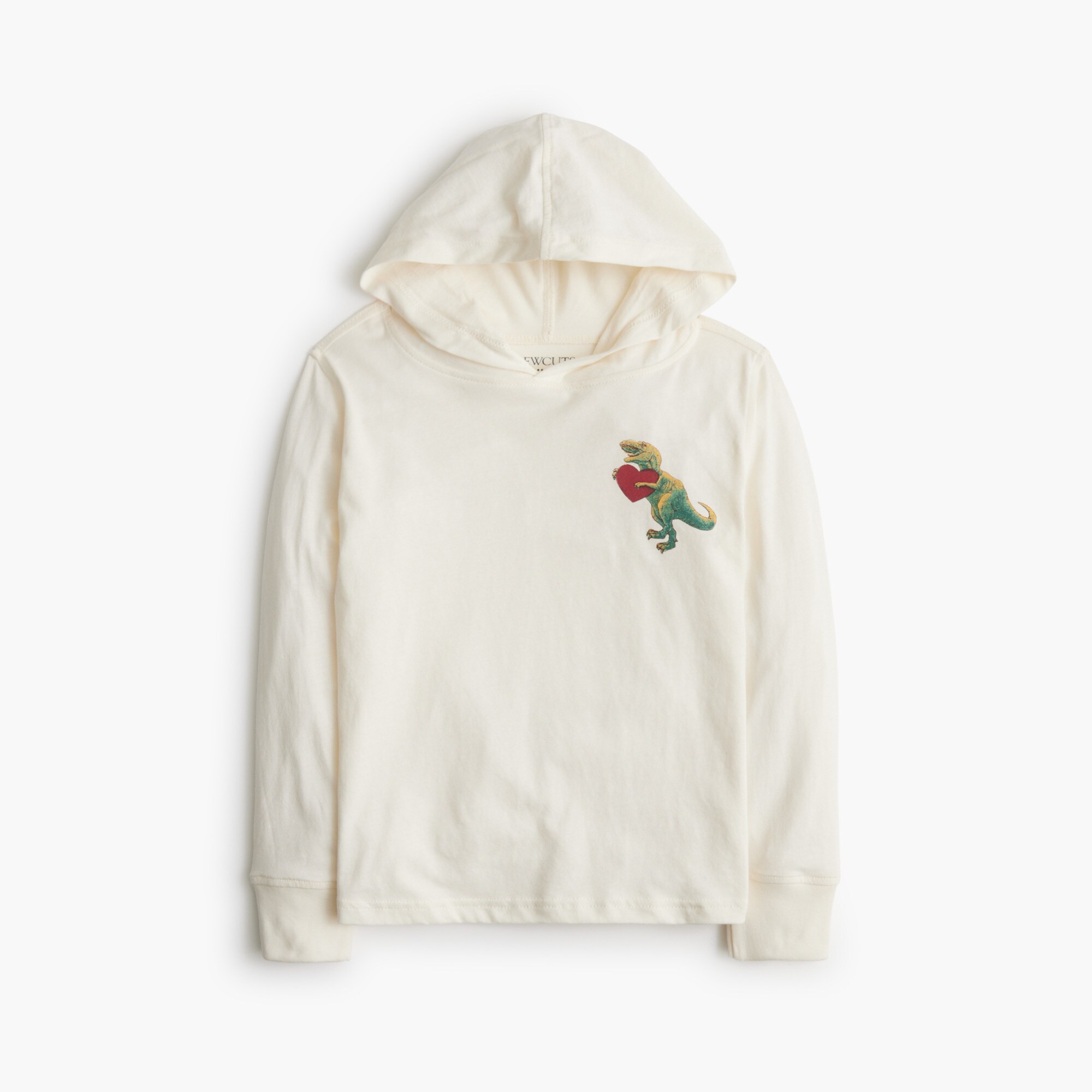 Boys' Dinosaur Graphic Jersey Hoodie For Boys | Factory
