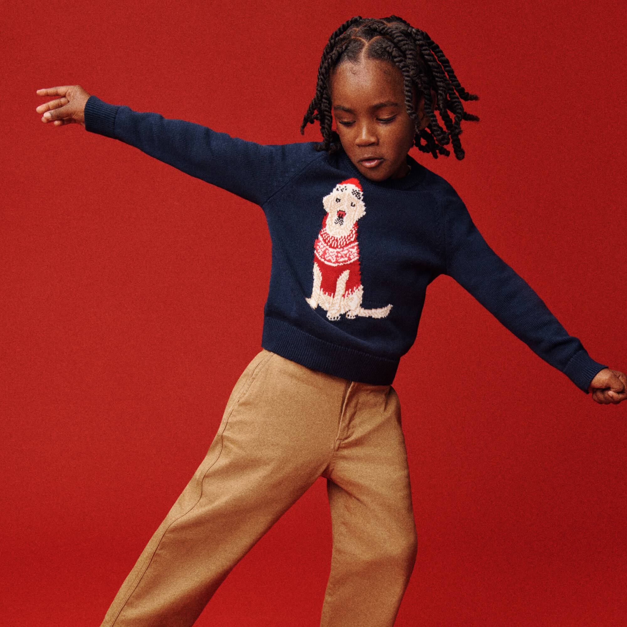 Kids' Holiday Dog Intarsia Sweater In Cotton For Boys | J.Crew