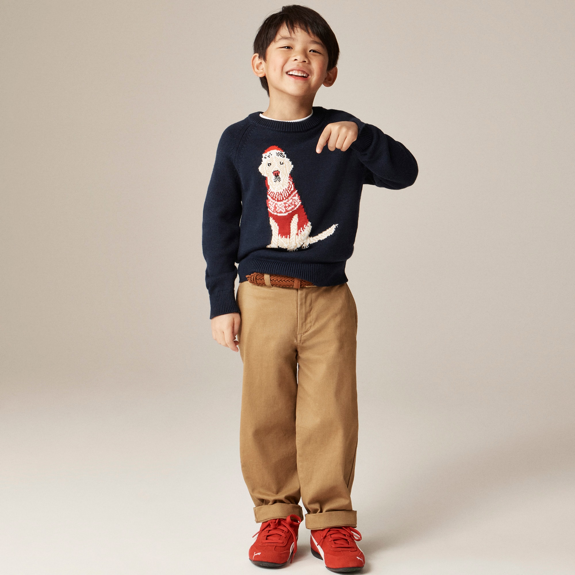 boys Kids' holiday dog intarsia sweater in cotton