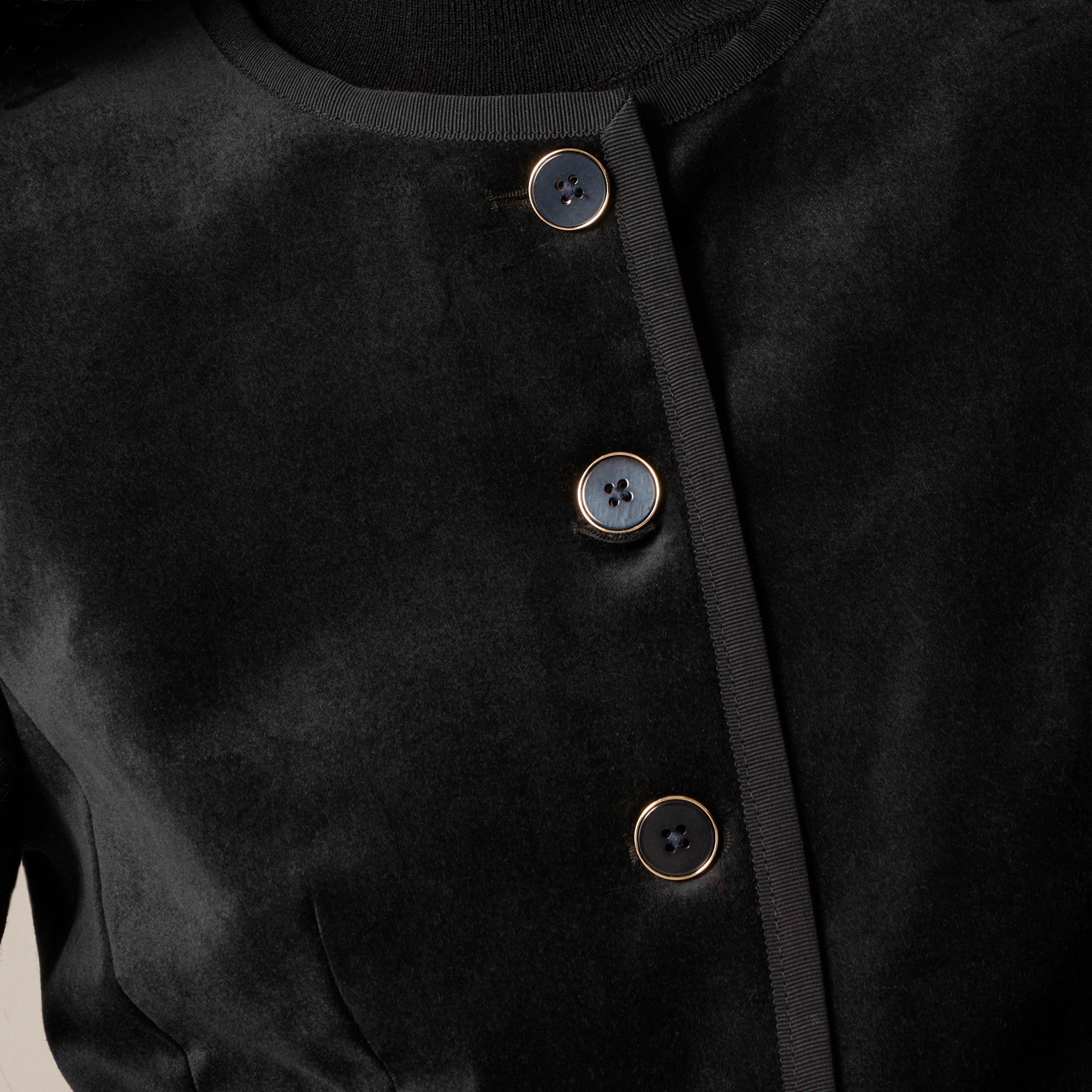 Cora lady jacket in velvet