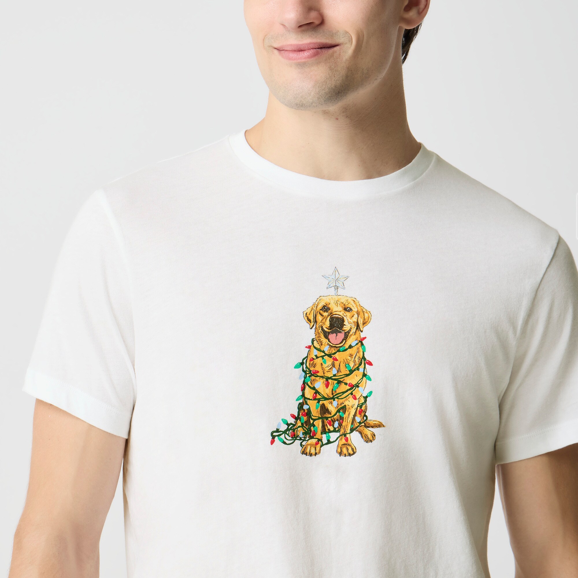 Golden retriever in holiday lights graphic tee