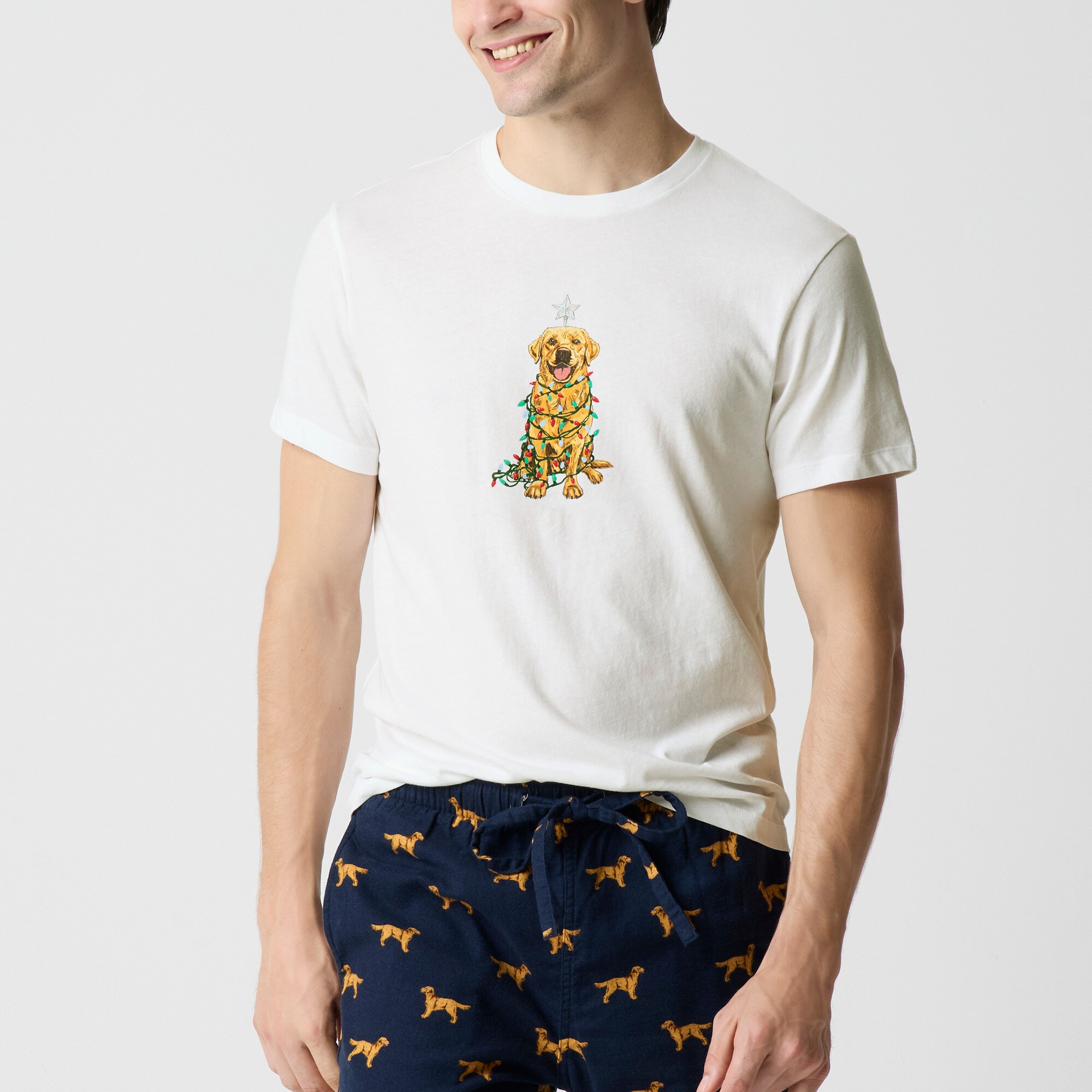 Golden retriever in holiday lights graphic tee