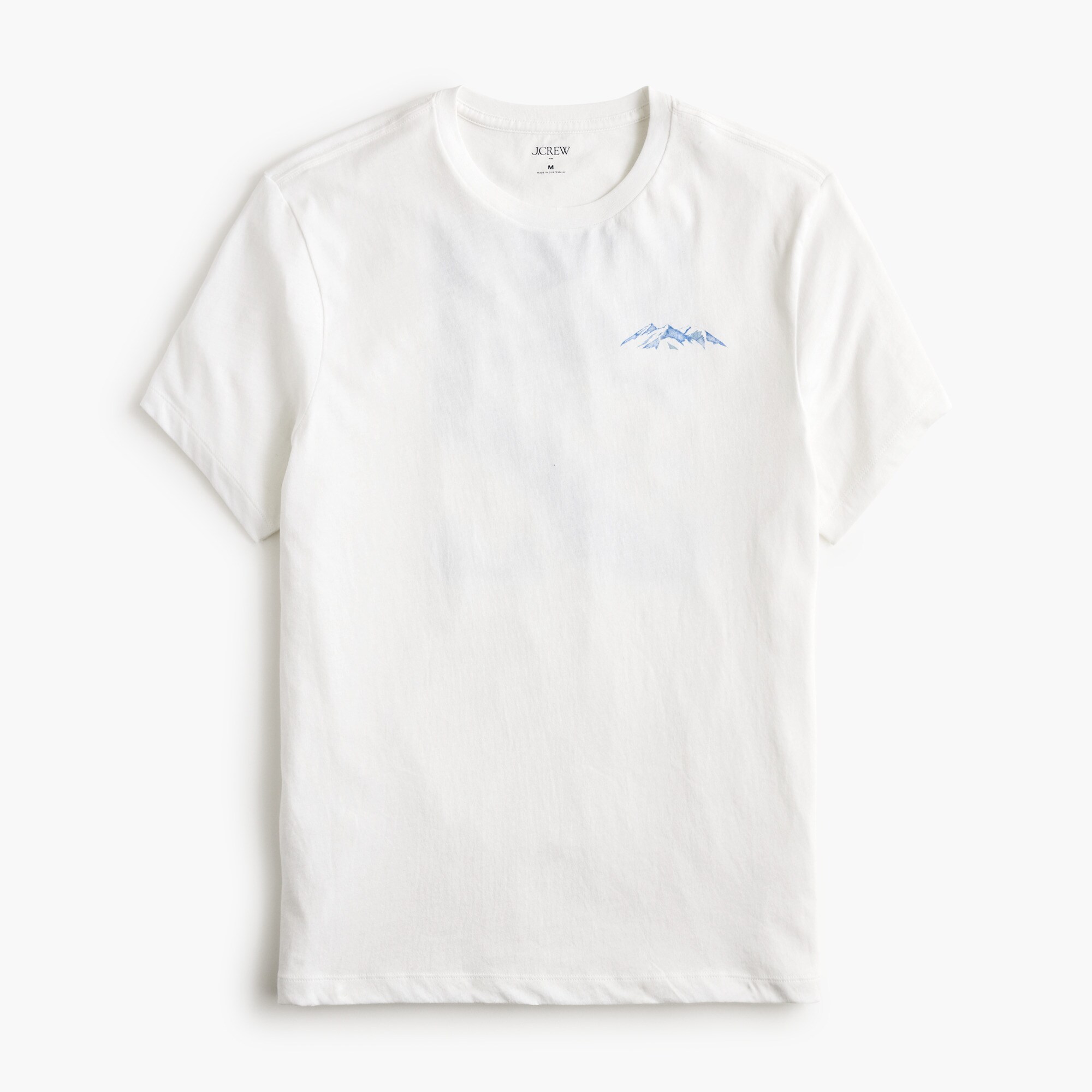 mens Ski mountain graphic tee