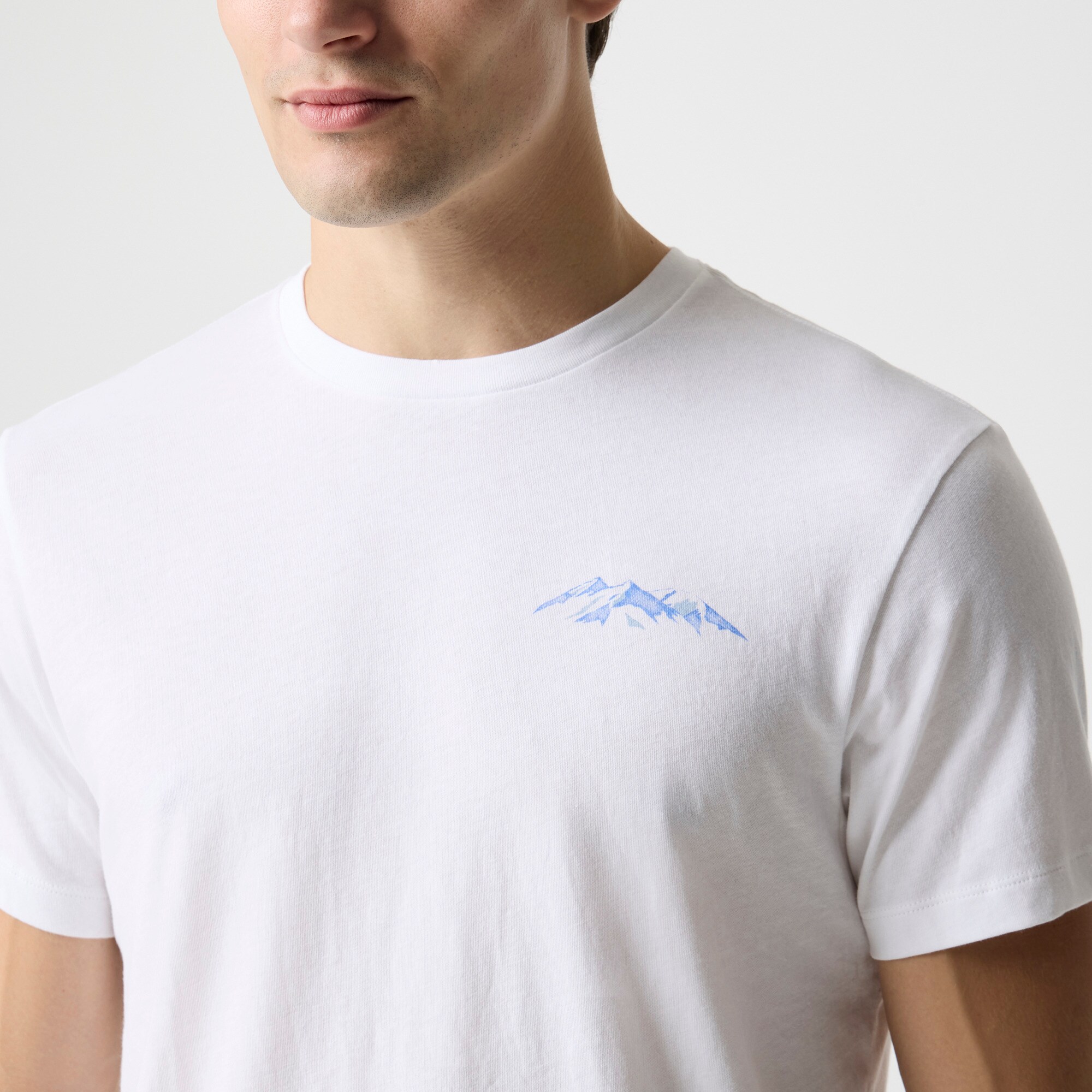 Ski mountain graphic tee
