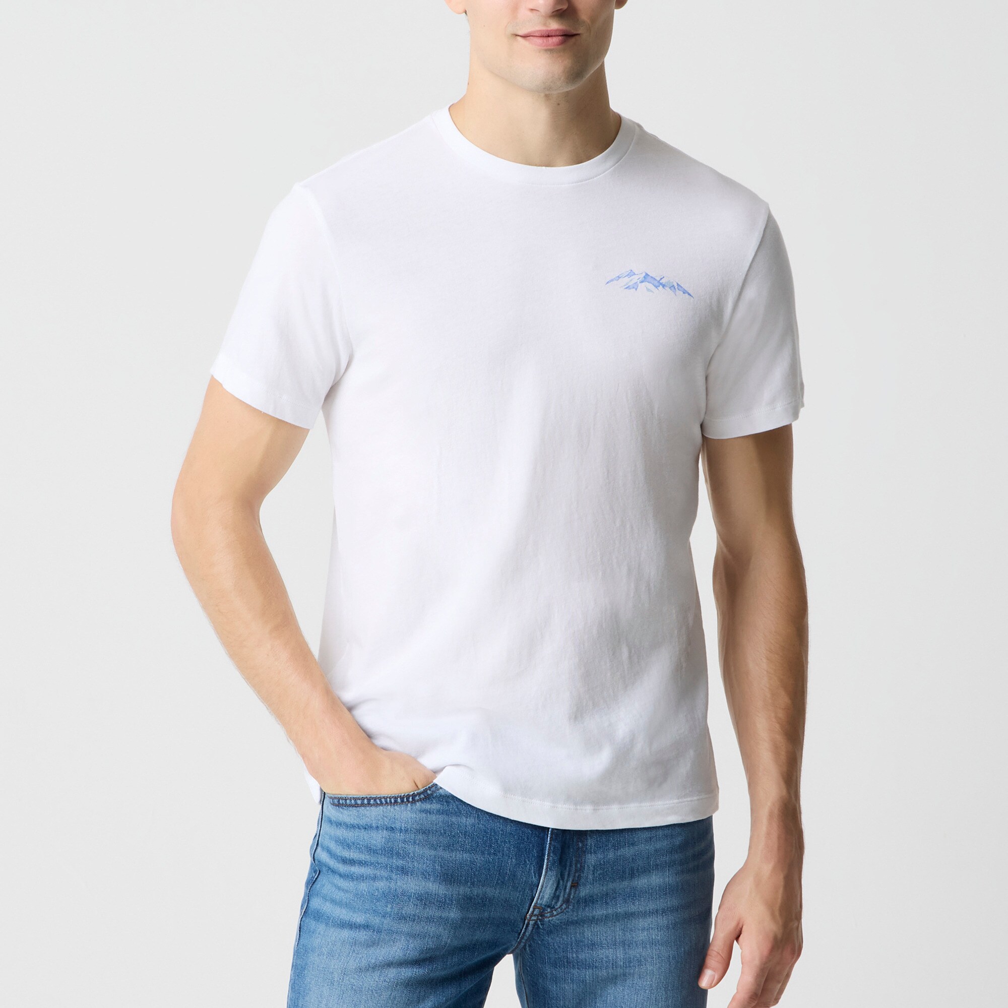 mens Ski mountain graphic tee