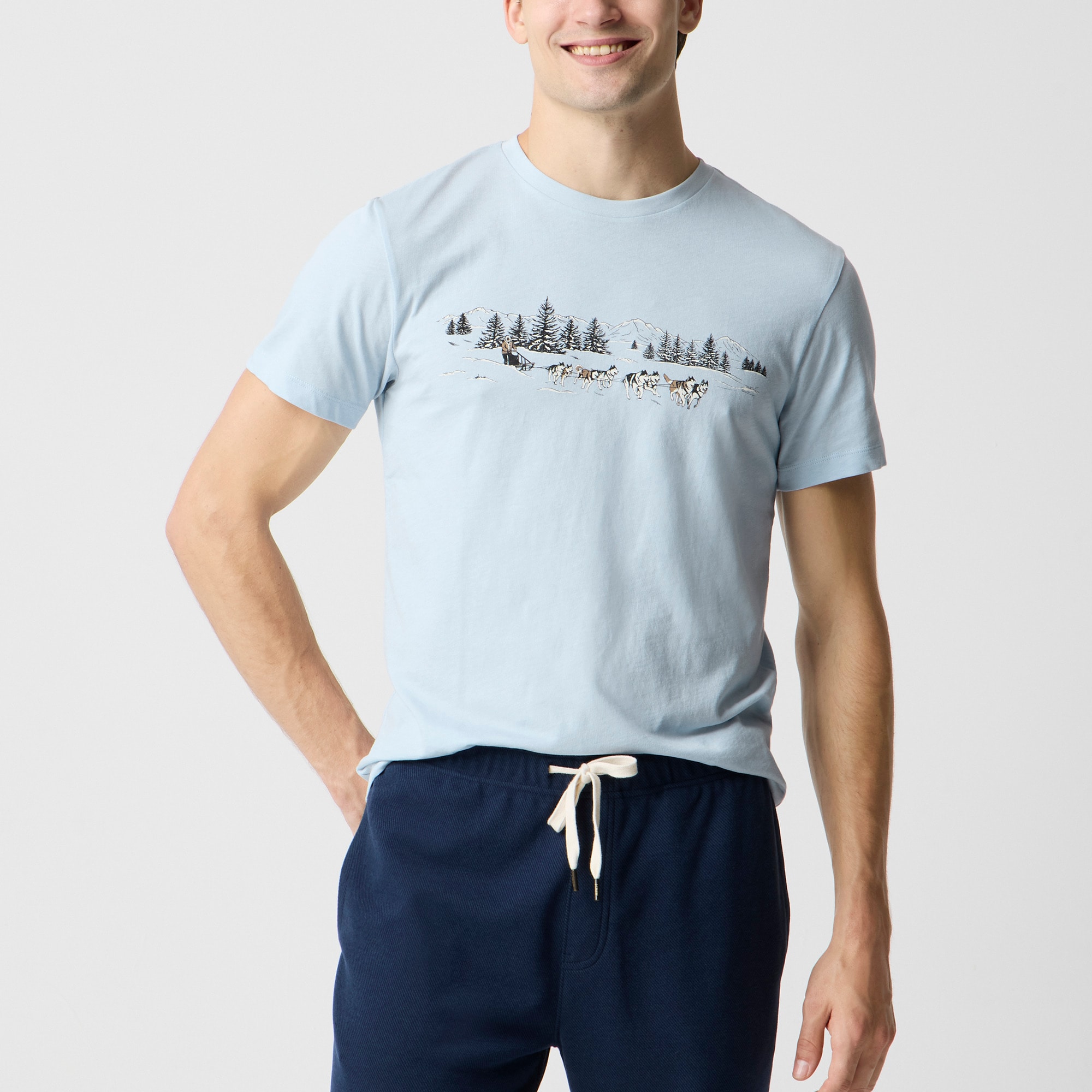 Sled dogs landscape graphic tee