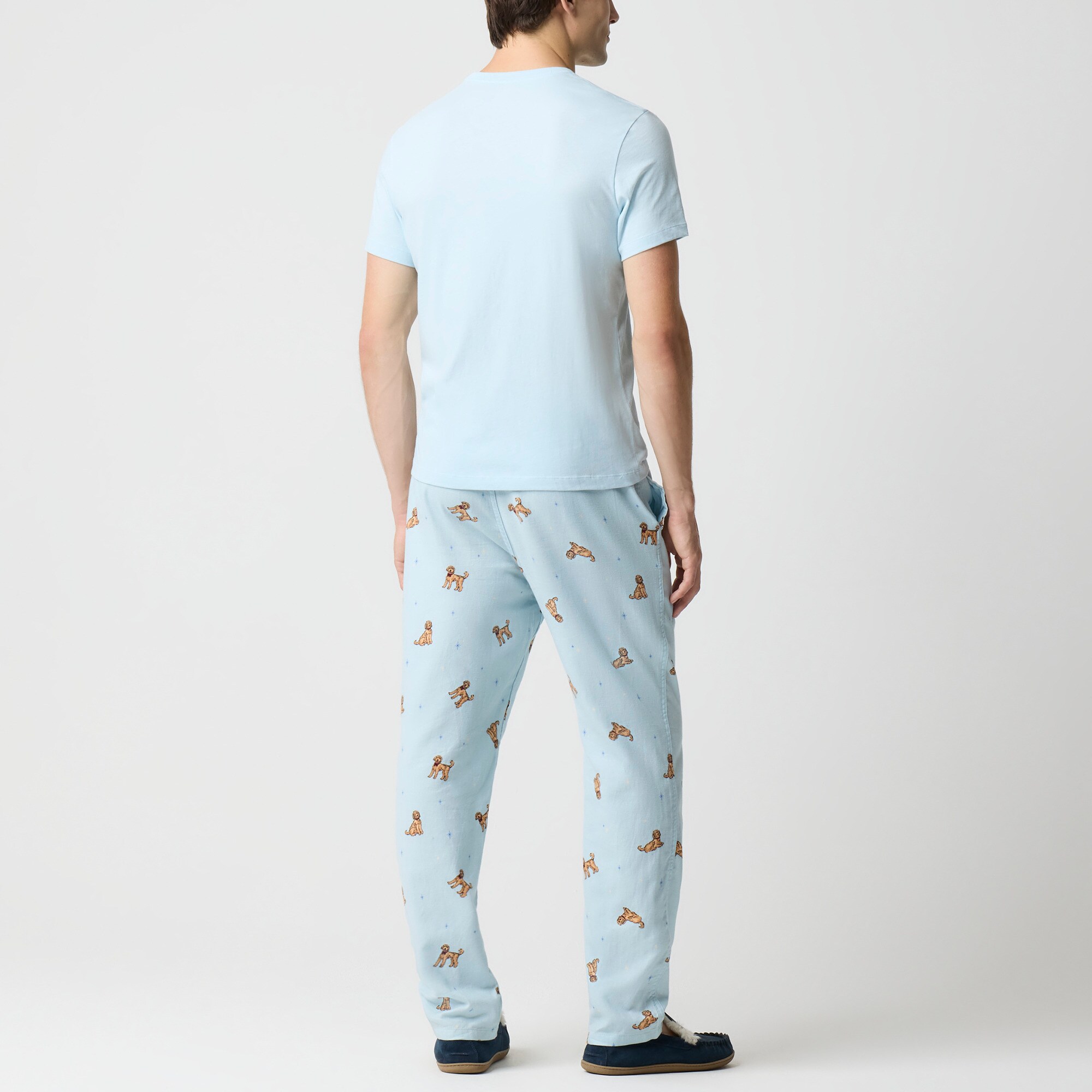 Goldendoodle graphic tee